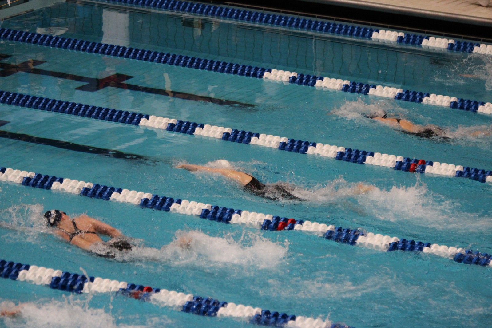 Lillian Gordy 20142015 Women's Swimming & Diving Queens