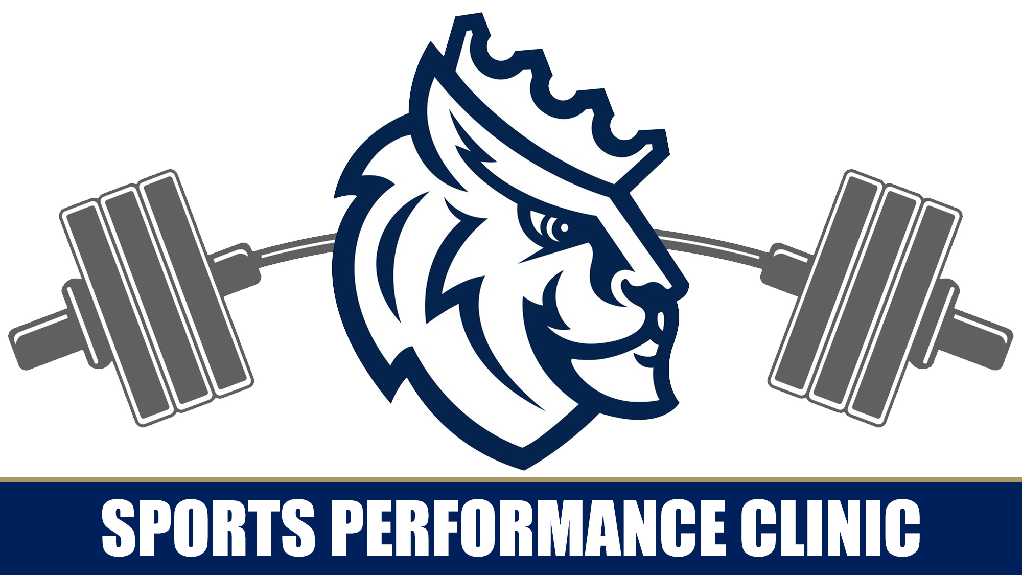 Sports Performance Clinic