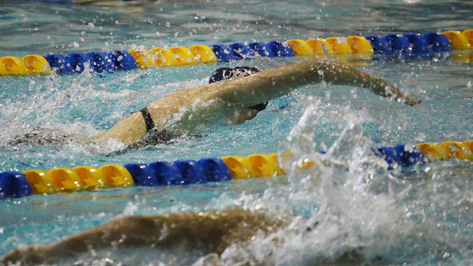 Polina Lapshina 20192020 Women's Swimming & Diving Queens