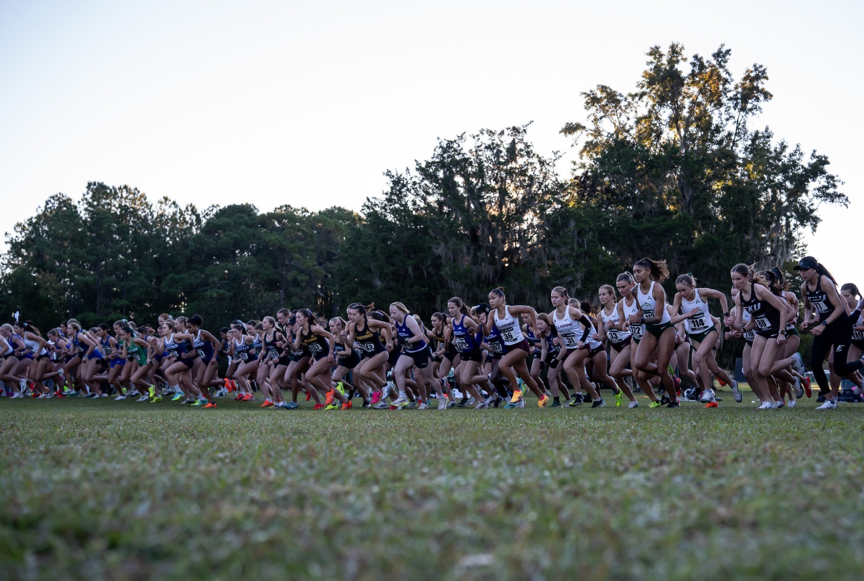 Queens XC Championship