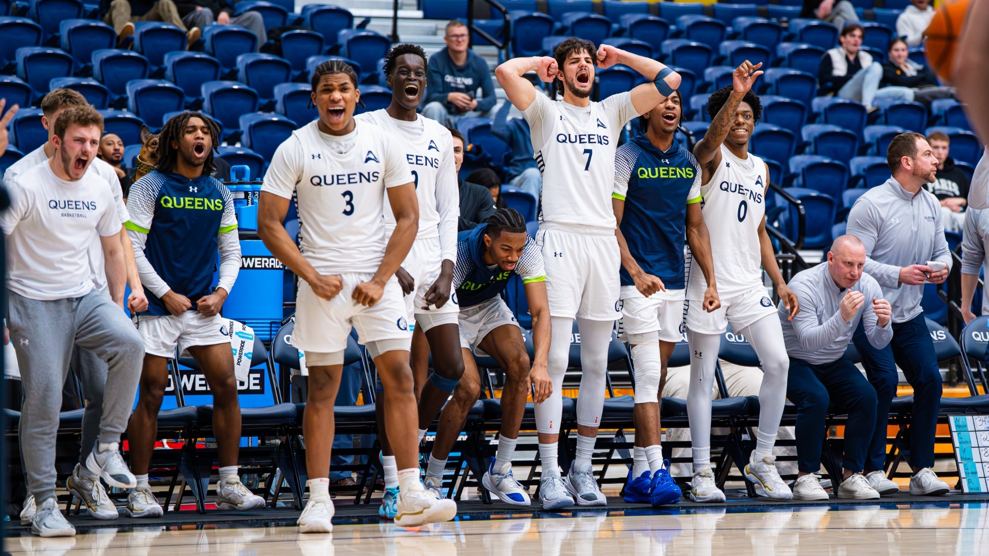 Queens bench celebrating vs. Jacksonville