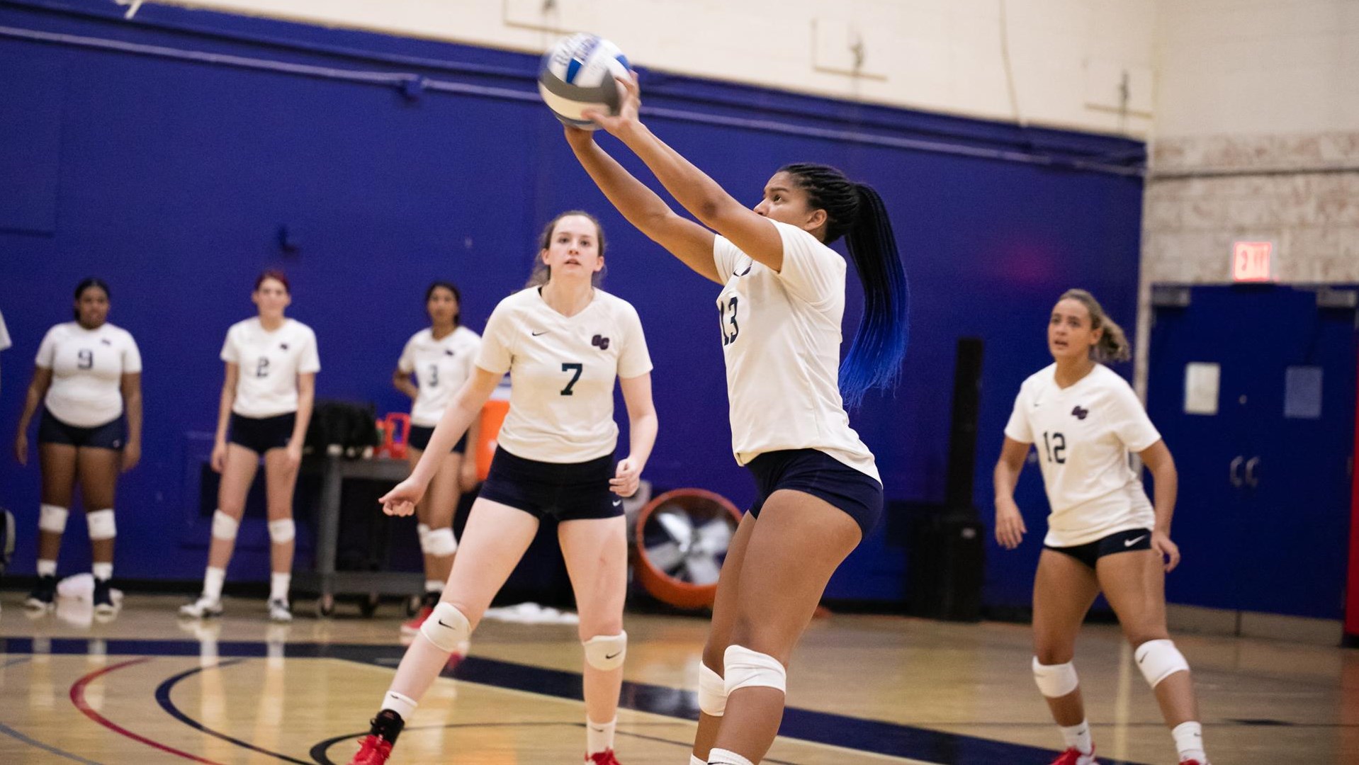 DeeAna Mitchell Women's Volleyball Queens College