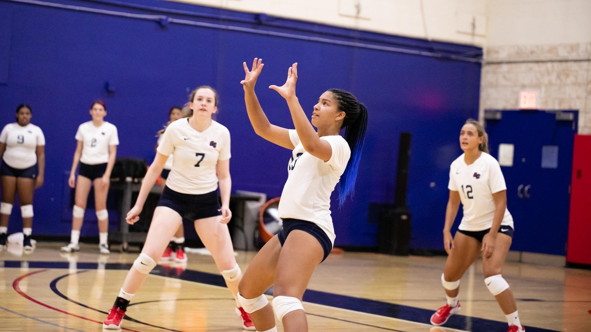 DeeAna Mitchell Women's Volleyball Queens College