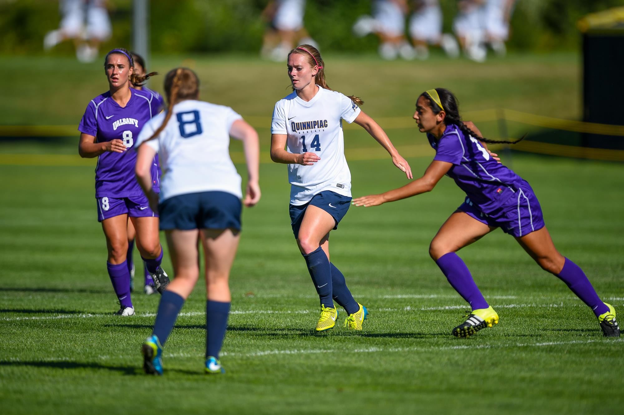 Jess Fontaine Women's Soccer Quinnipiac University Athletics