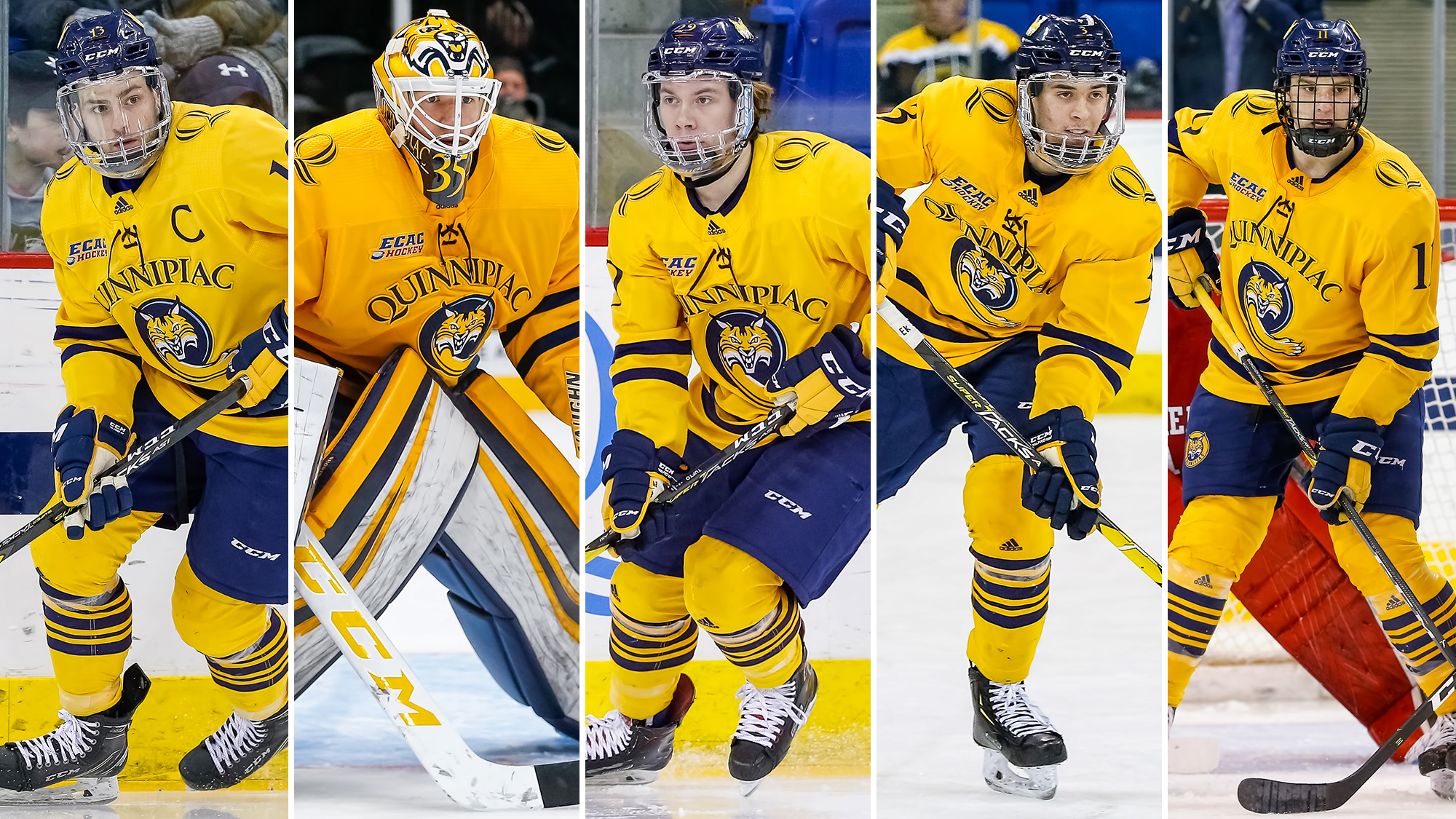 Five Men's Ice Hockey Players Named to AllECAC Hockey Teams Quinnipiac University Athletics