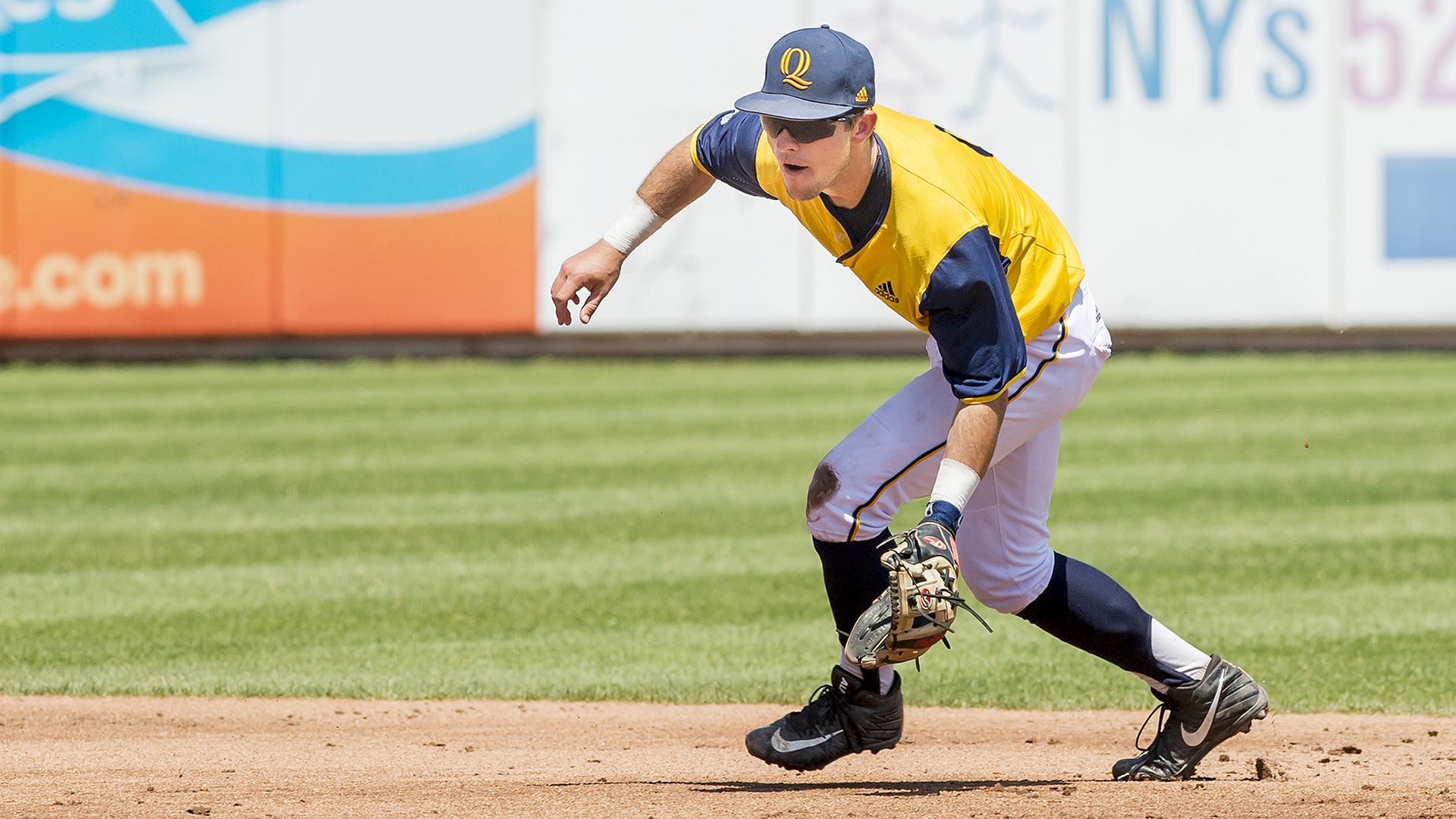 Dylan Lutz Baseball Quinnipiac University Athletics