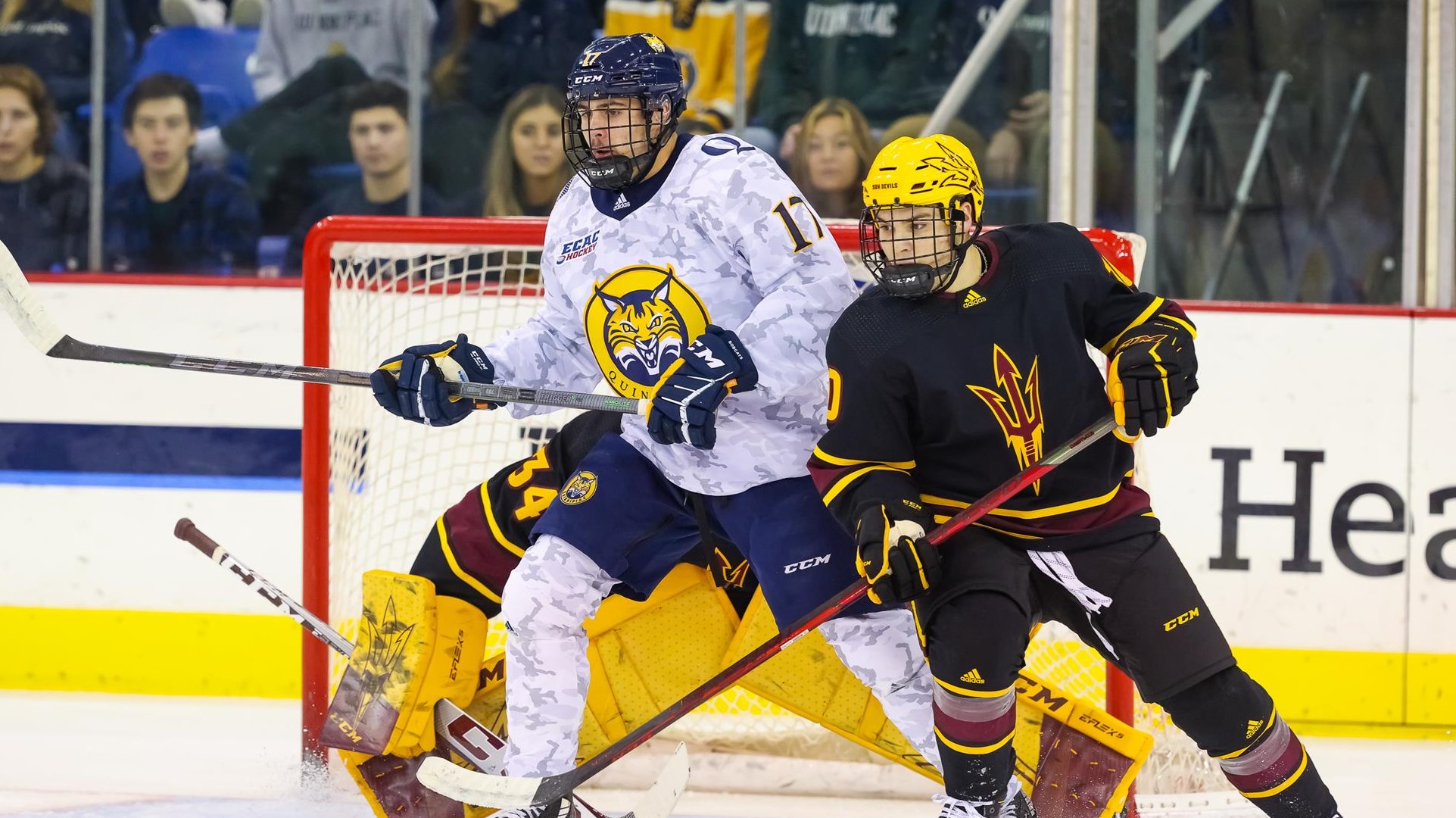 Joey Cipollone Men's Ice Hockey Quinnipiac University Athletics