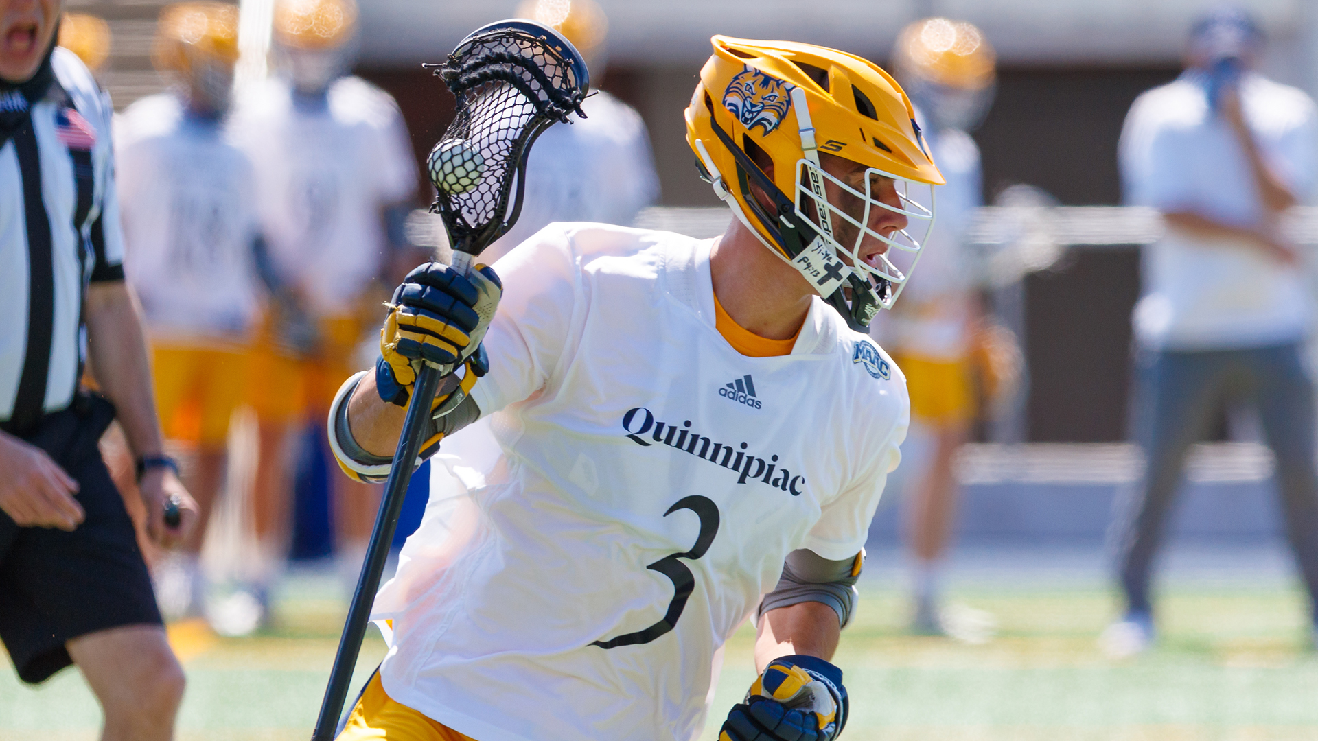 Demitri Men's Lacrosse Quinnipiac University Athletics