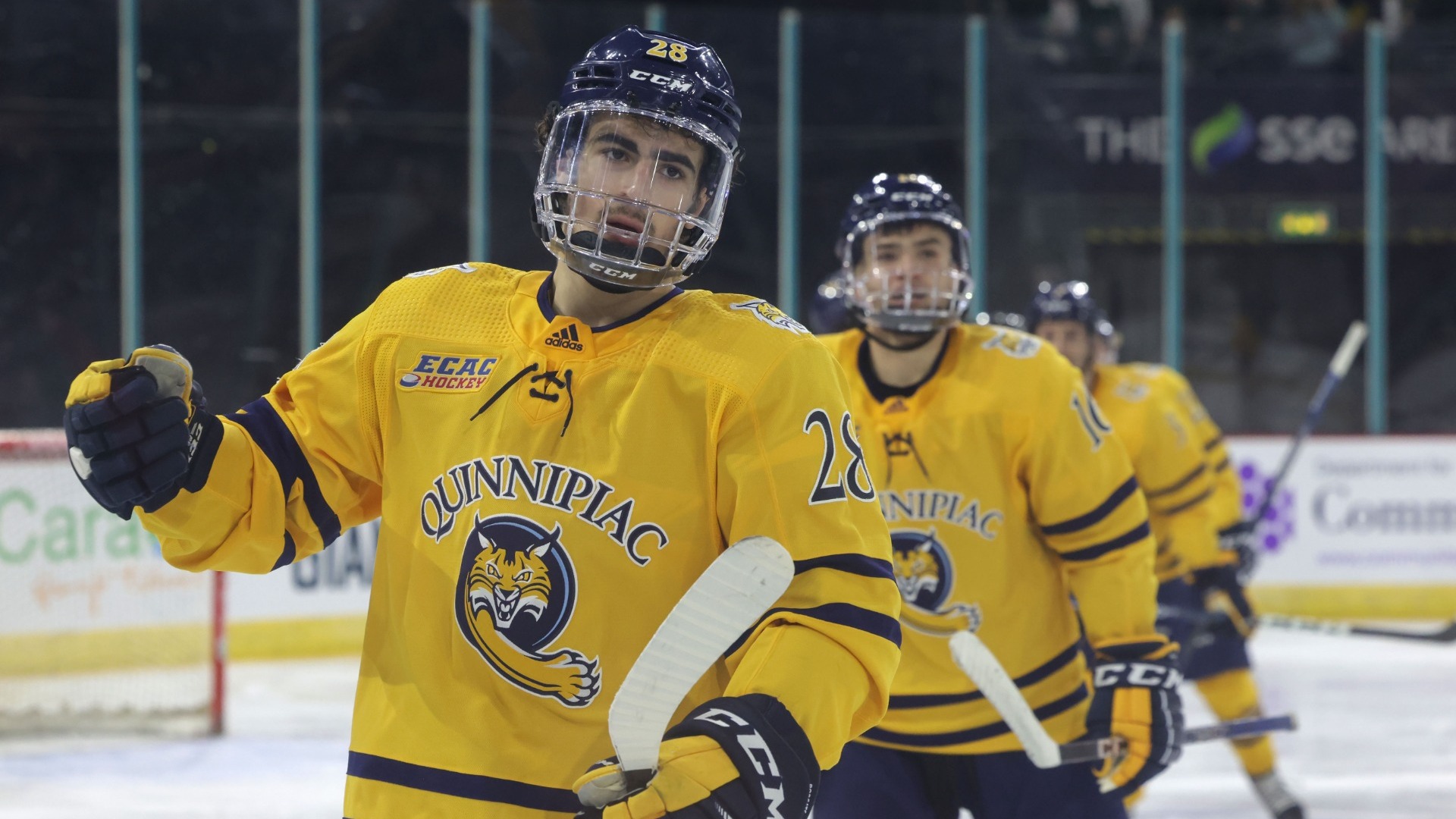 Sam Lipkin Men's Ice Hockey Quinnipiac University Athletics