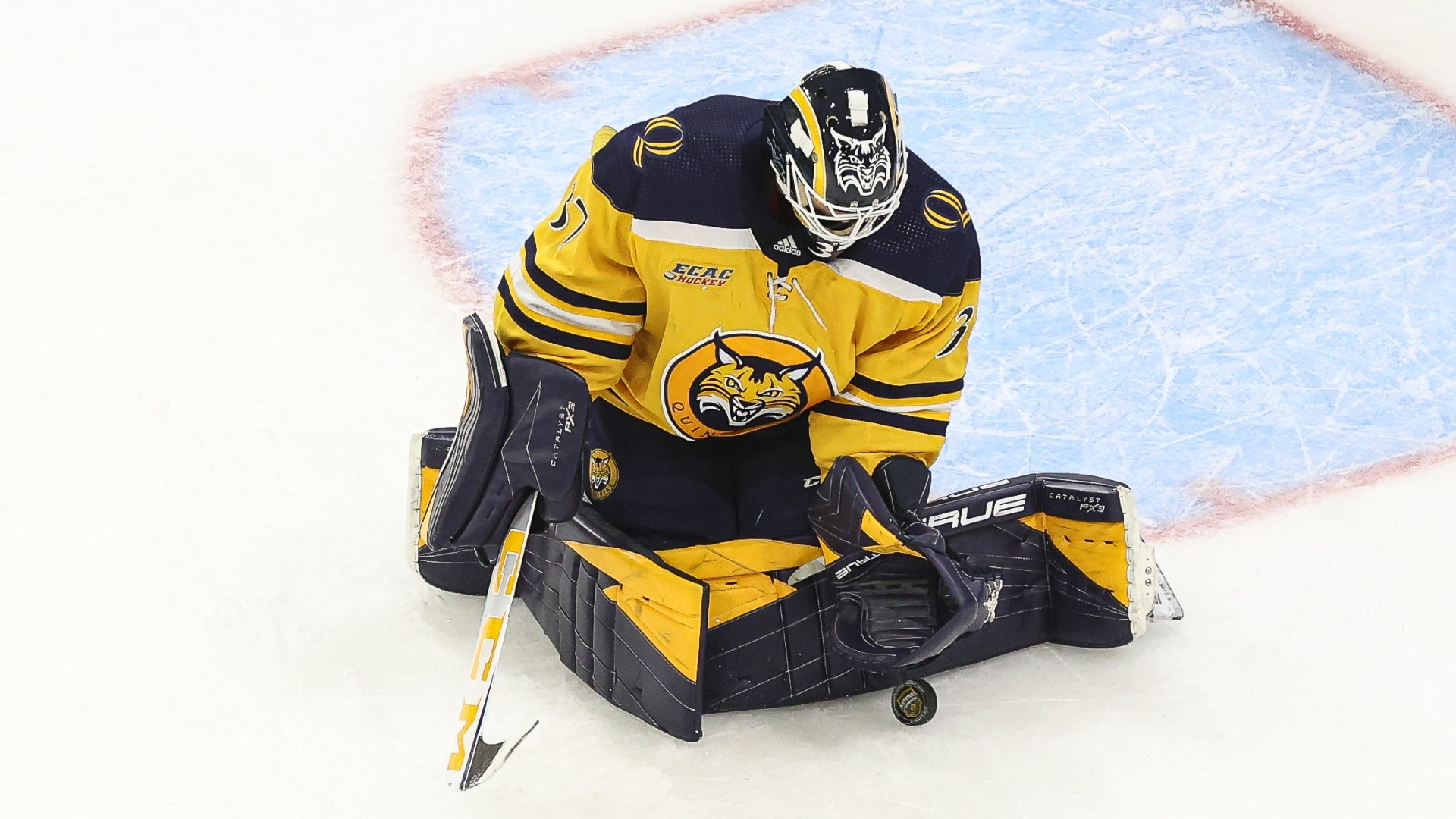 Vinny Duplessis Men's Ice Hockey Quinnipiac University Athletics