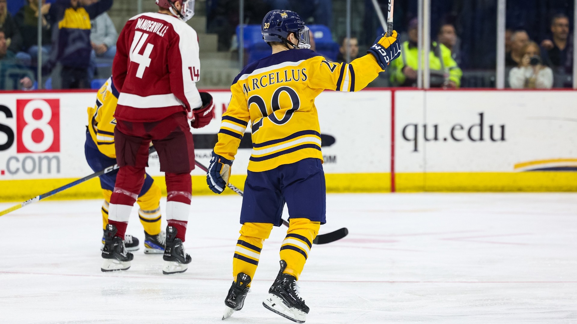 Mason Marcellus Men's Ice Hockey Quinnipiac University Athletics