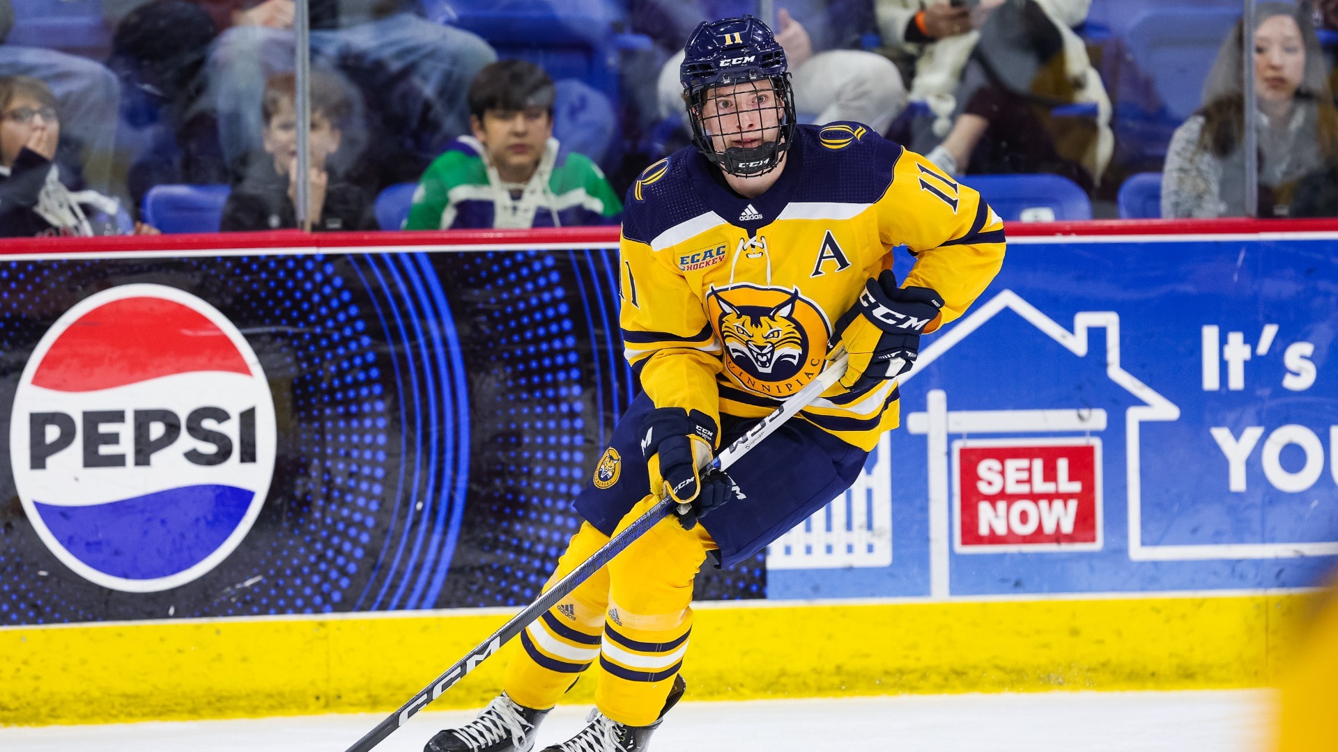 Collin Graf Men's Ice Hockey Quinnipiac University Athletics