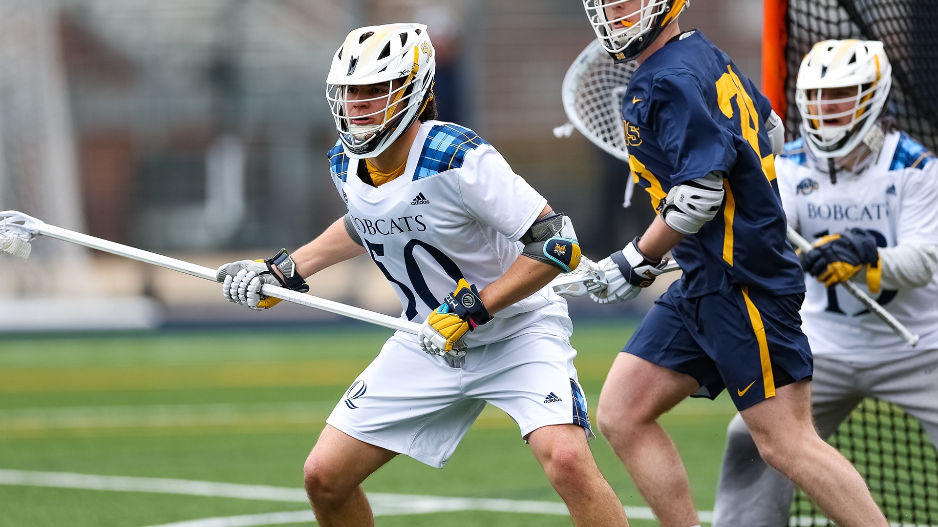 Zack Siegel Men's Lacrosse Quinnipiac University Athletics