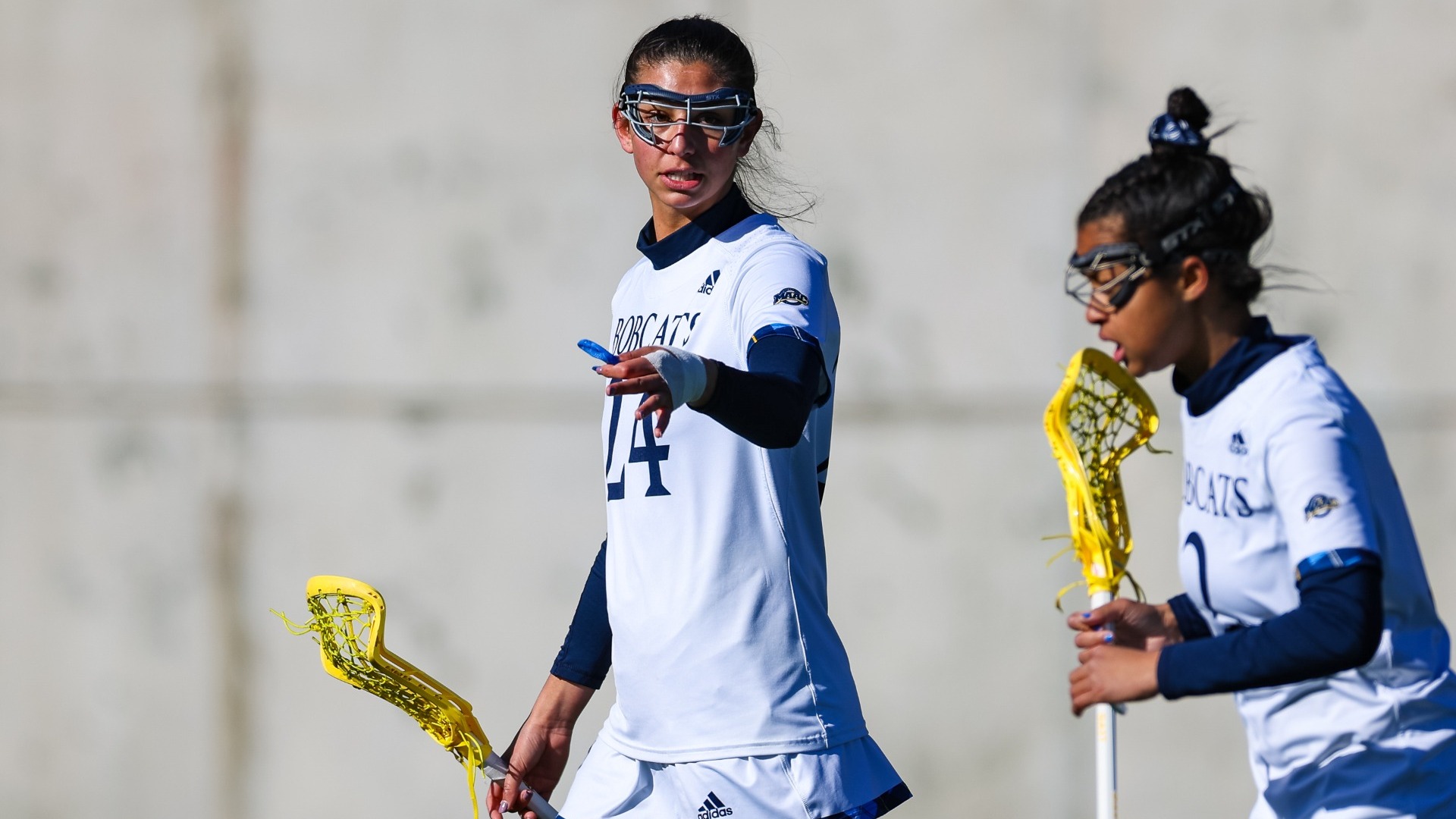 Sophia Iaccino Women's Lacrosse Quinnipiac University Athletics