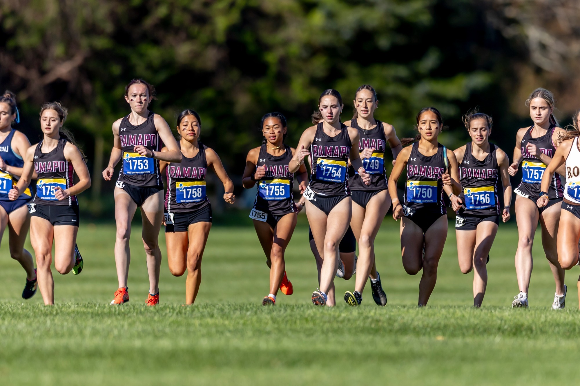 wxc team 2025