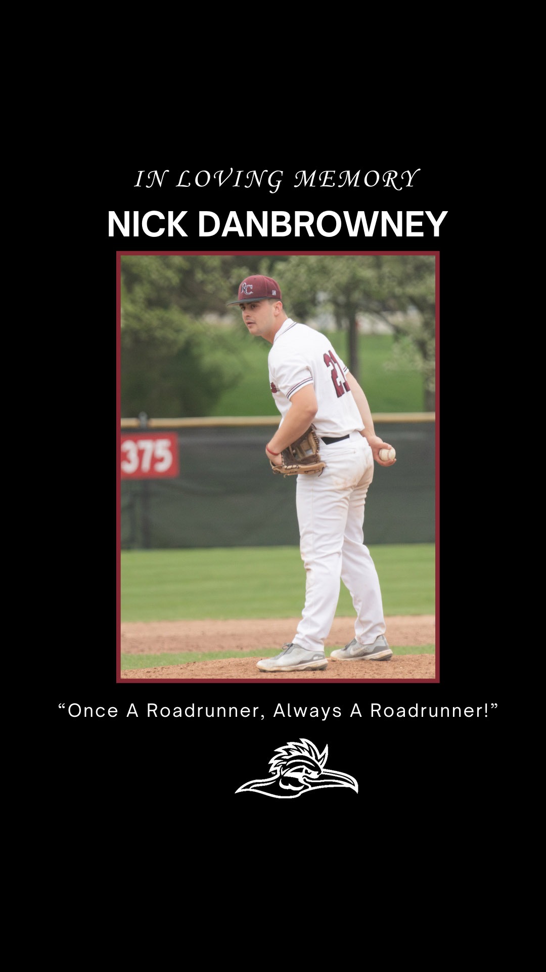 Nick Danbrowney Web