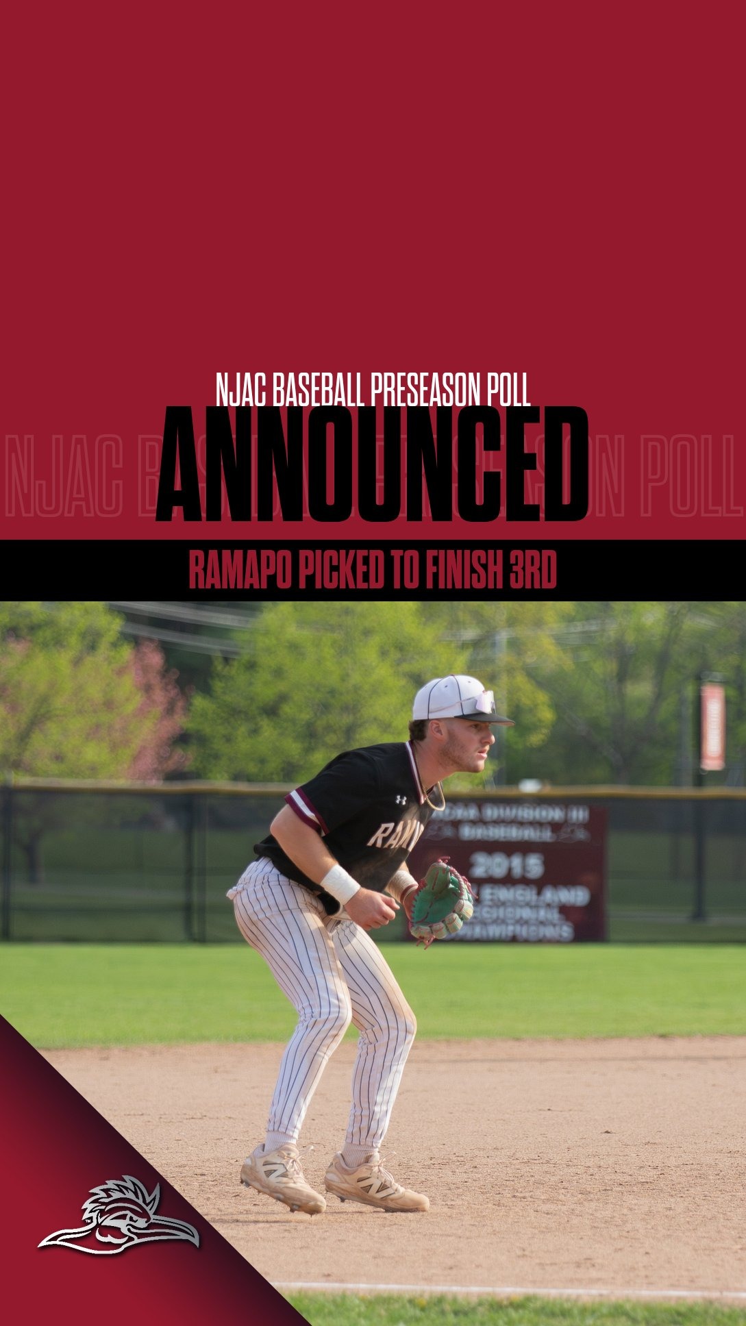 njac preseason poll baseball - web