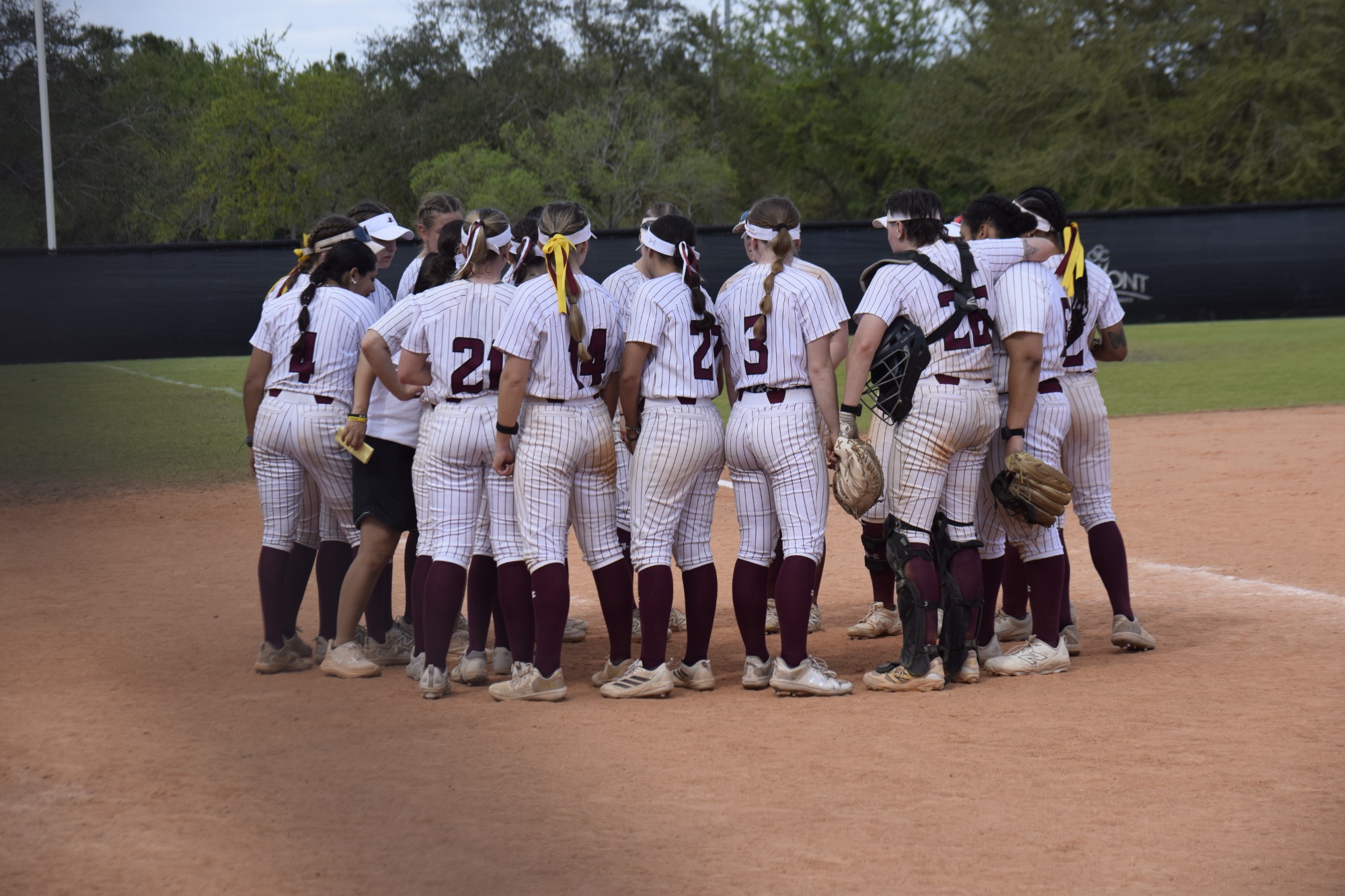 2026 Softball vs. Hiram