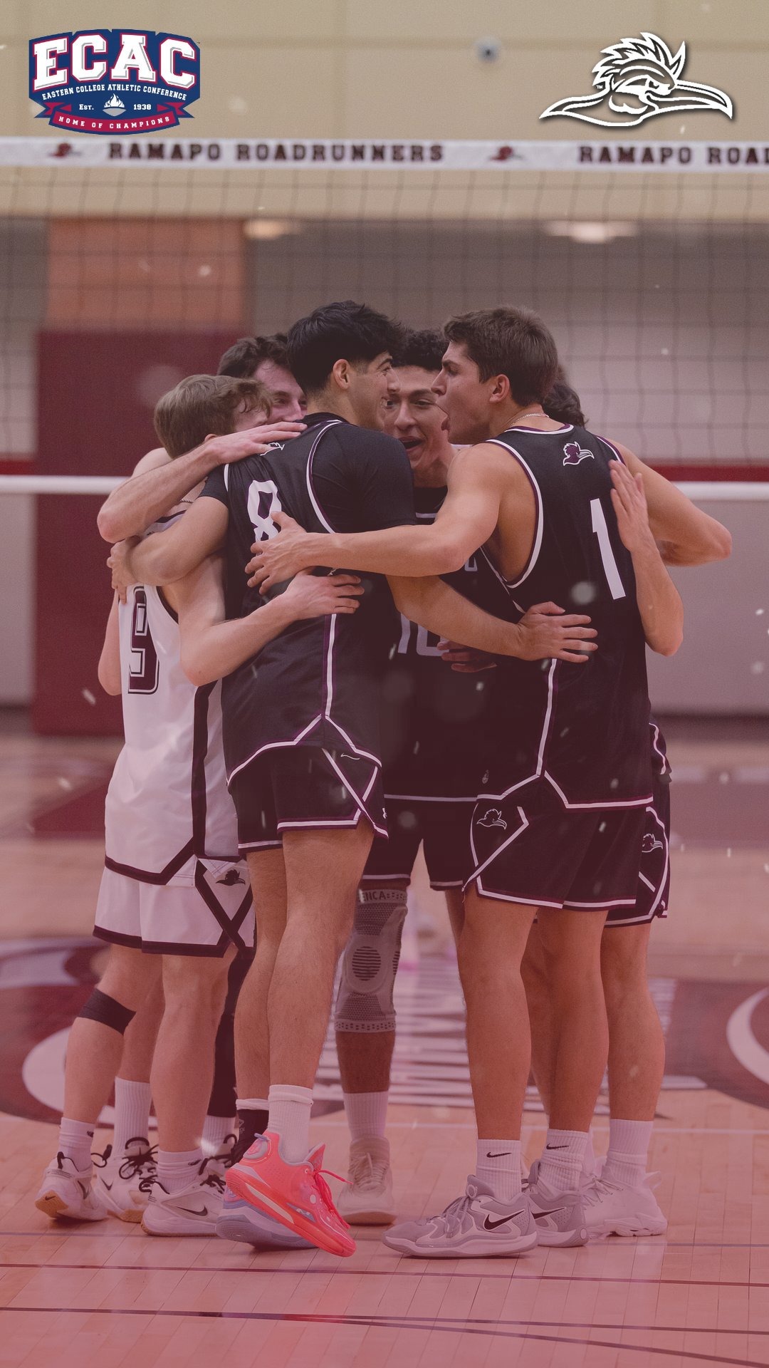ECAC MVB 2026 - web story