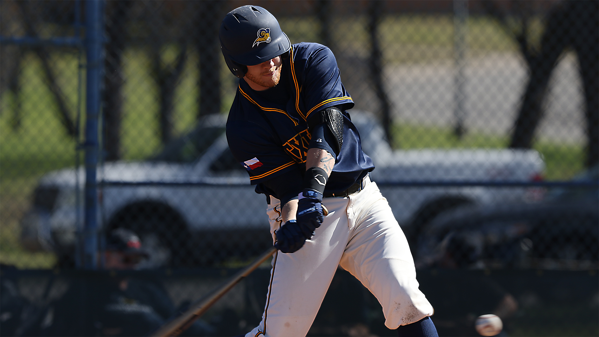 Michael Higgins Baseball Texas Wesleyan University Athletics
