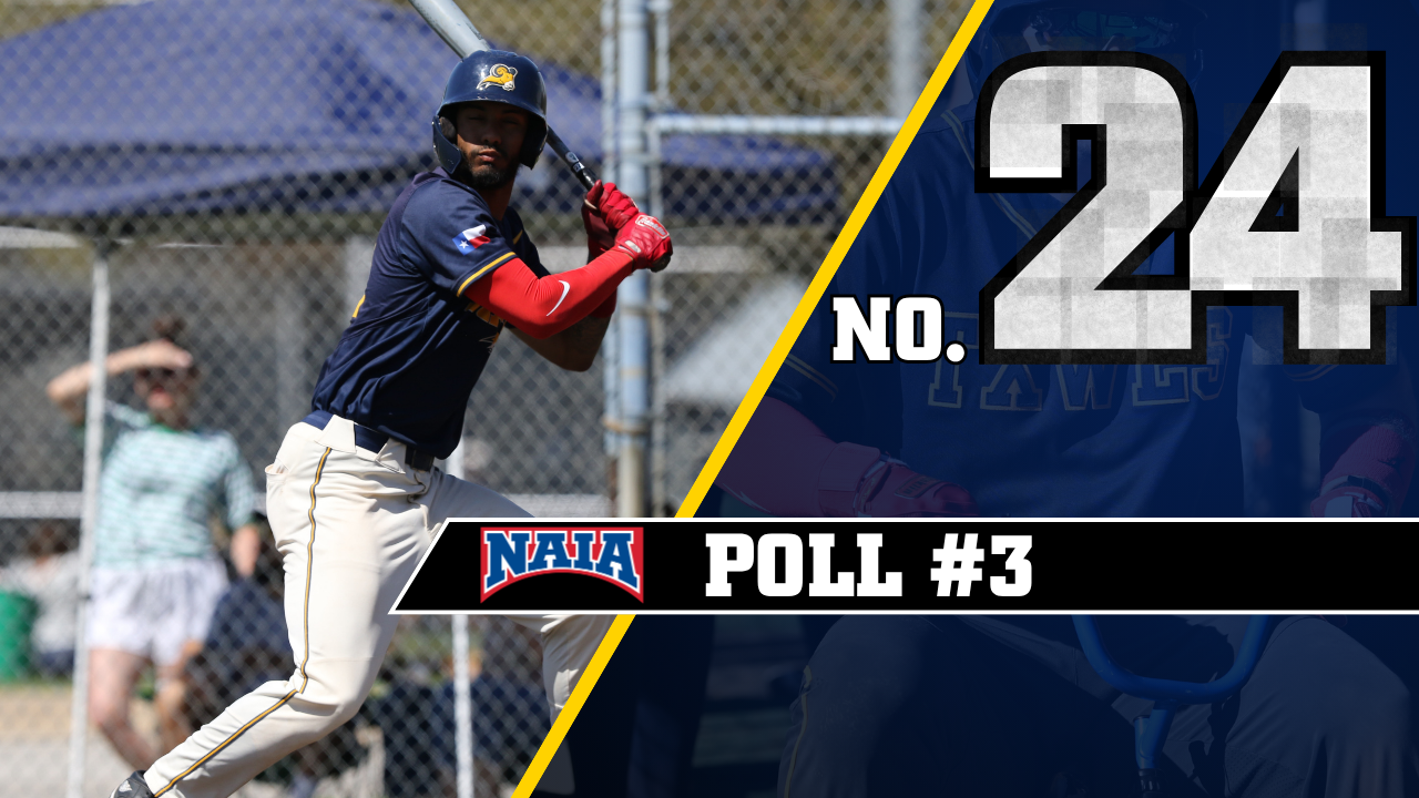 BB NAIA Poll #3