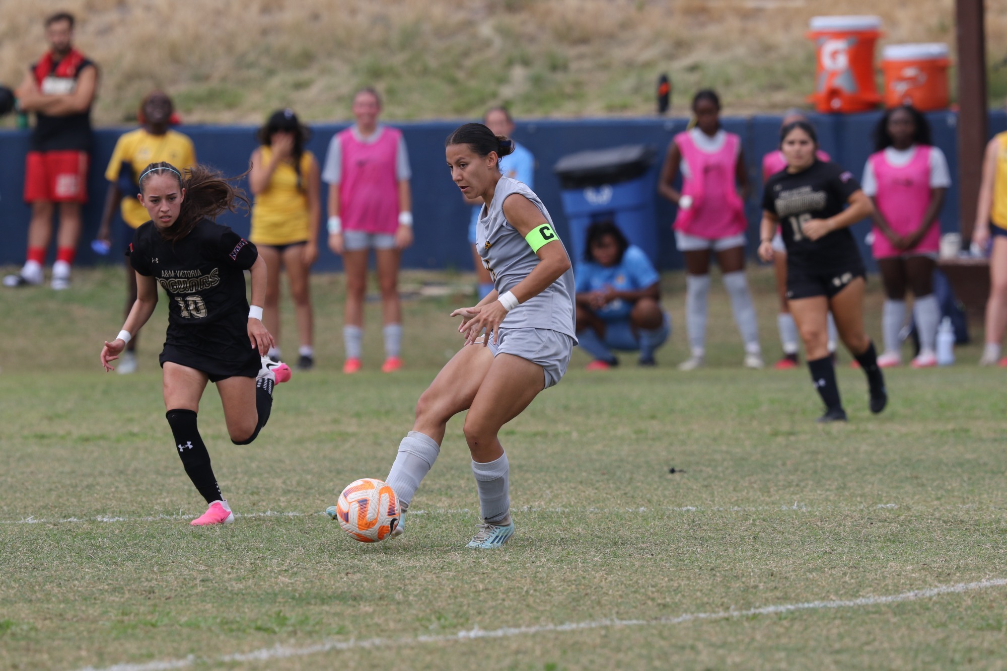 WSOC