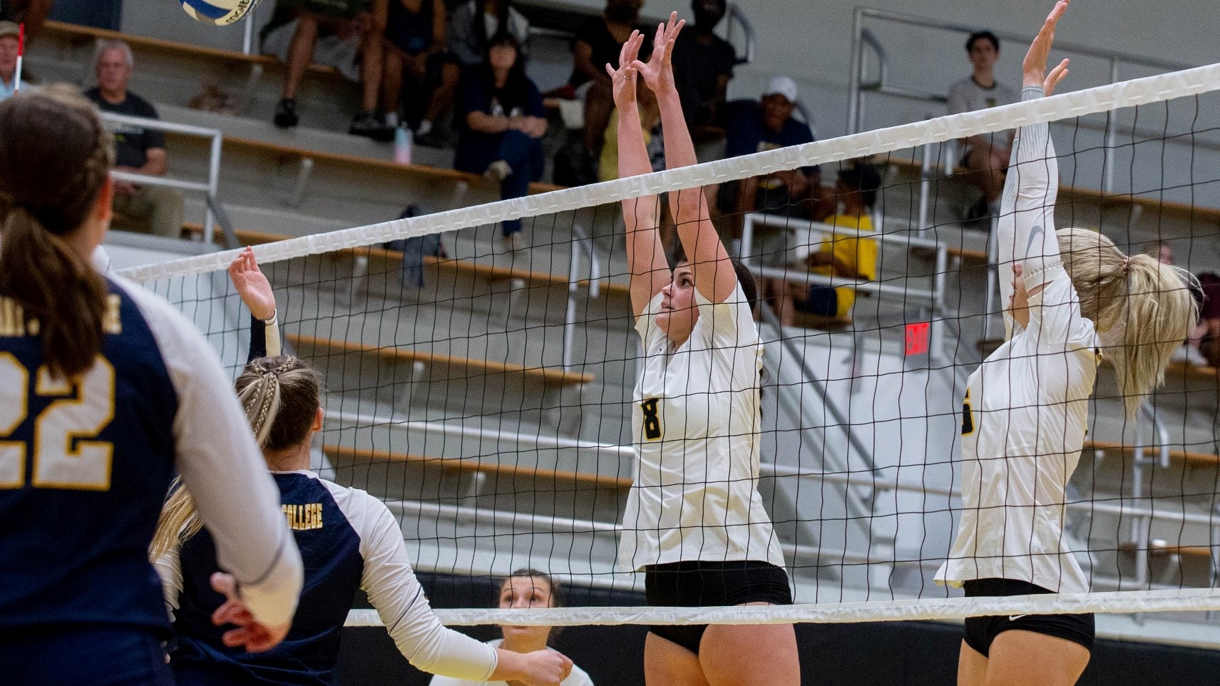 Brooklyn Finnerty 202425 Women's Volleyball Randolph College