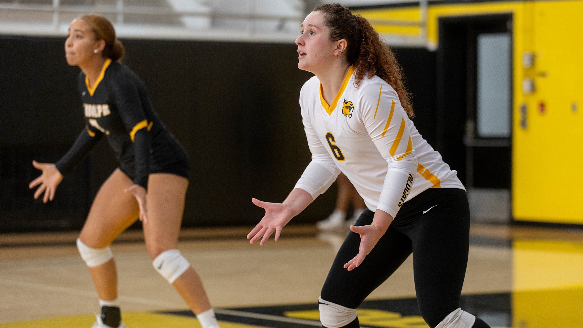 Volleyball Falls to Greensboro at NC Wesleyan Randolph College