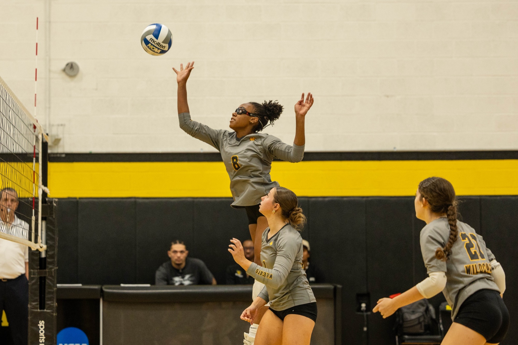 WVB vs RMC 2026 
