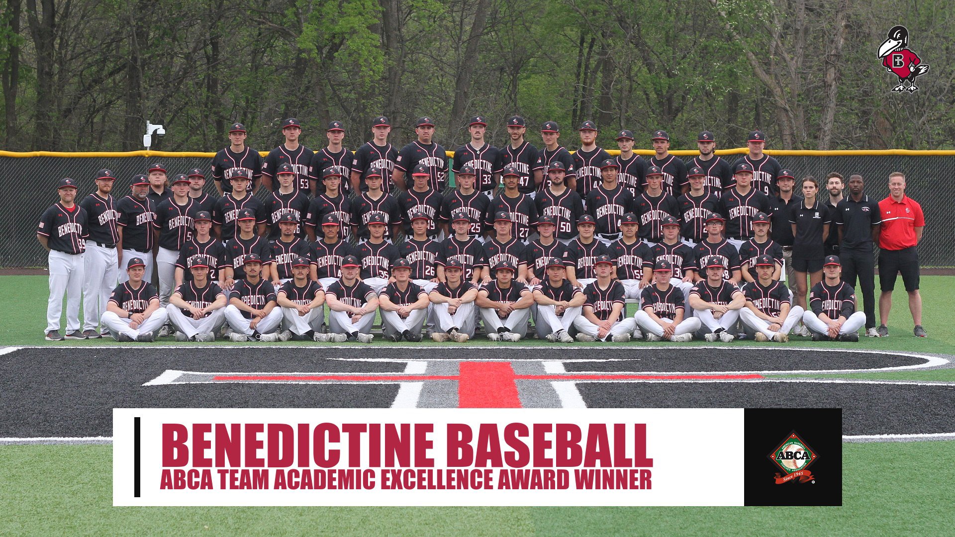 Baseball ABCA Team Excellence header