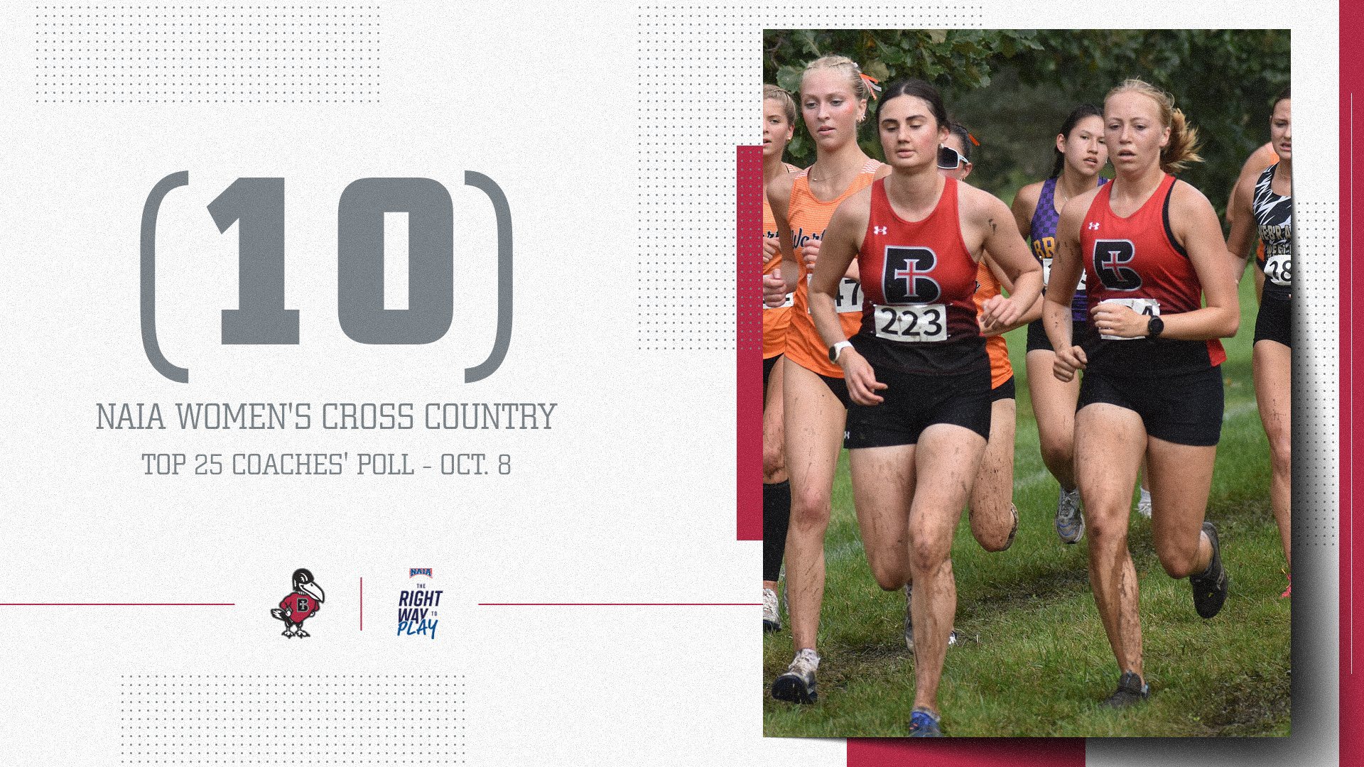 WXC_Top10