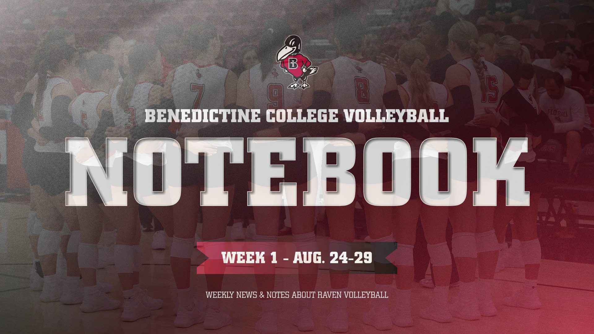 VB_NotebookWk1
