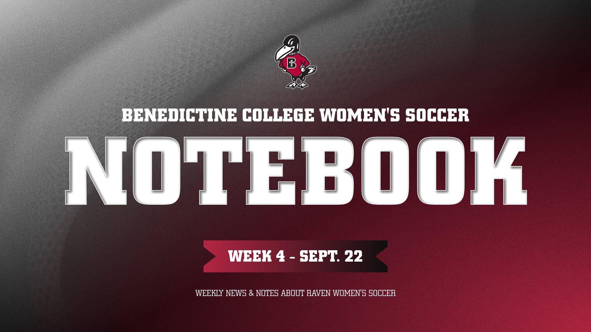 WSOC_NotebookWeek4
