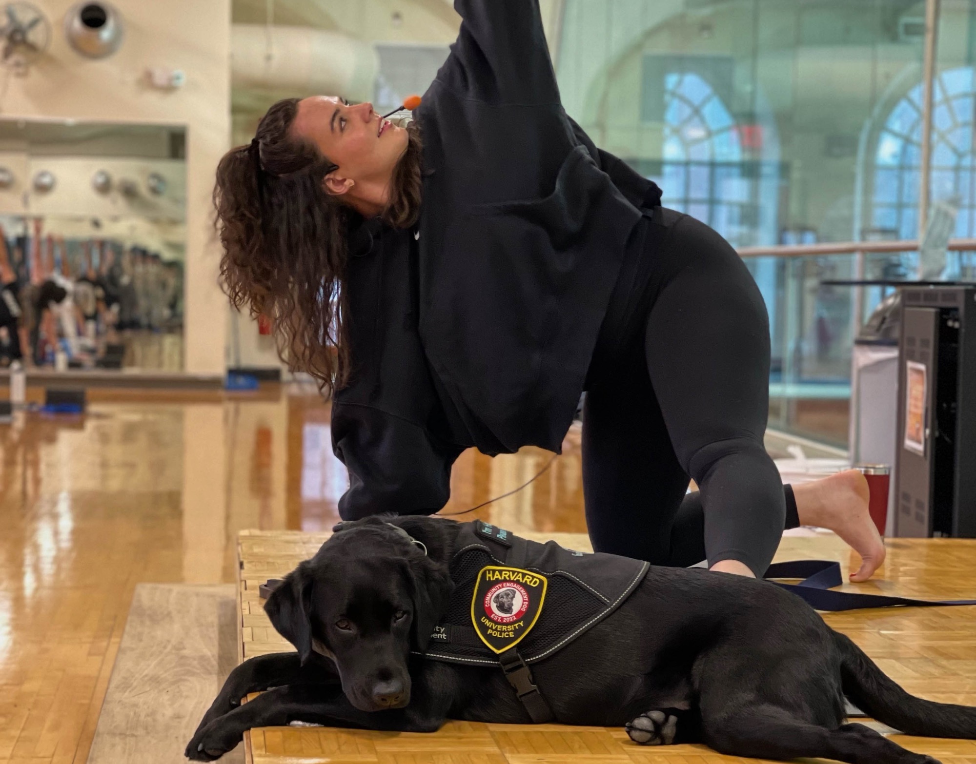 Harvard Rec & HUPD Team Up for Yoga with Sasha Harvard University
