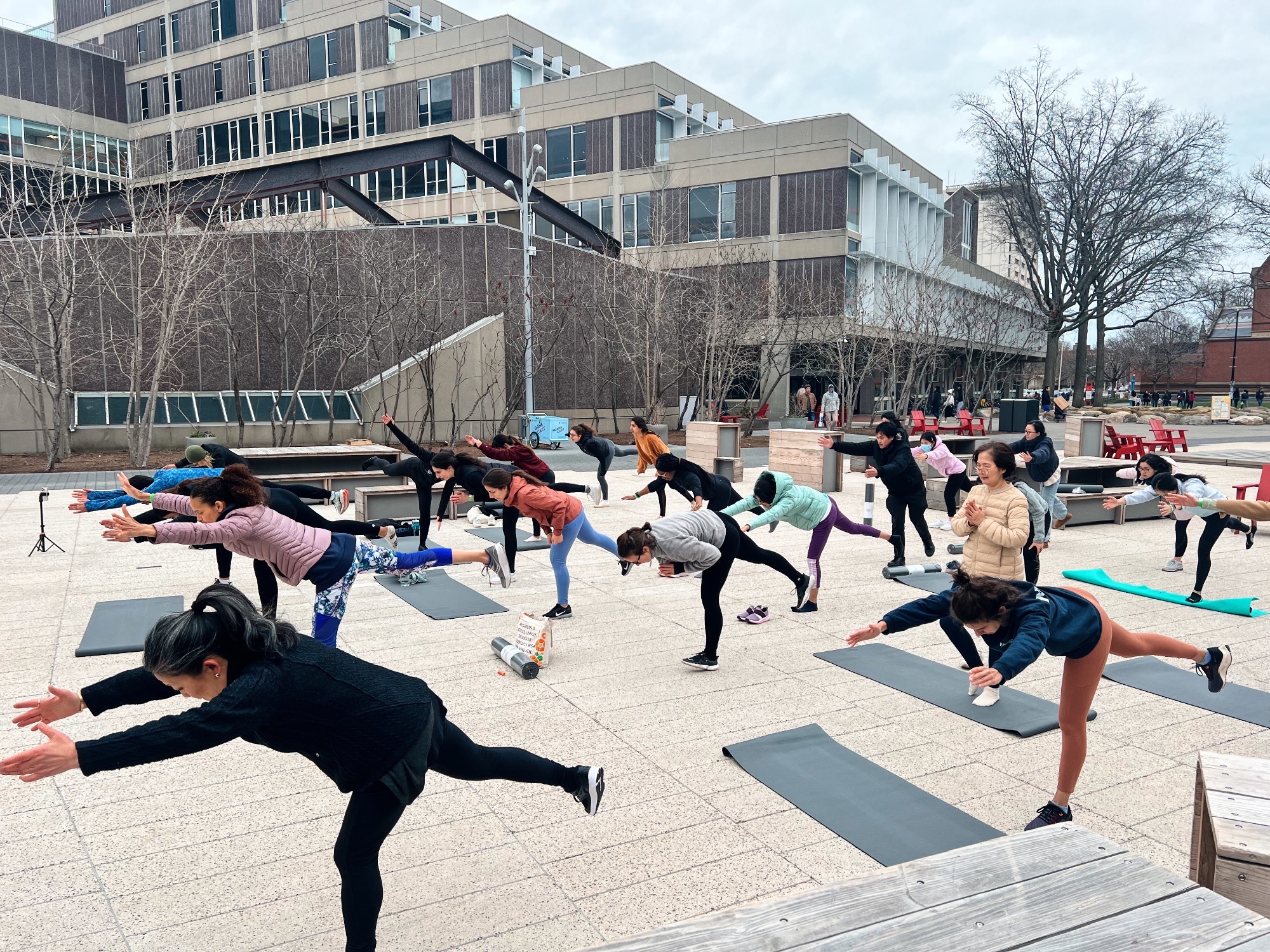 Harvard Rec & Common Spaces Present Cardio Yoga at the Plaza Harvard