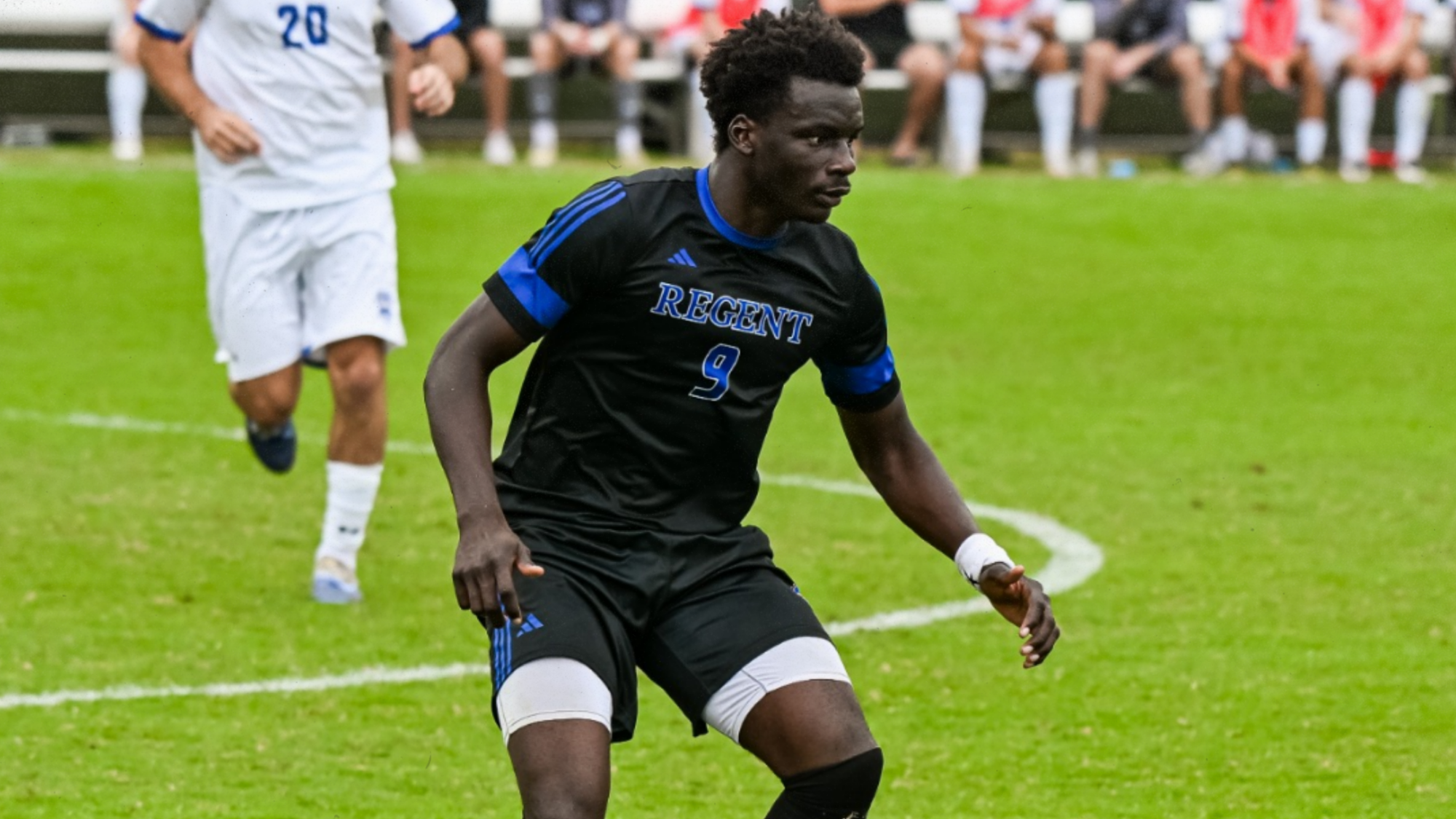 MS Yann All -Conference