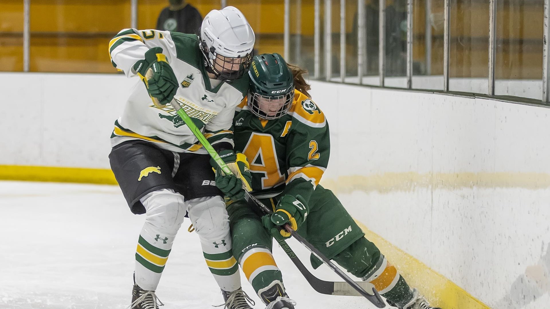 Cougars swept by Pandas in Canada West quarterfinals University of