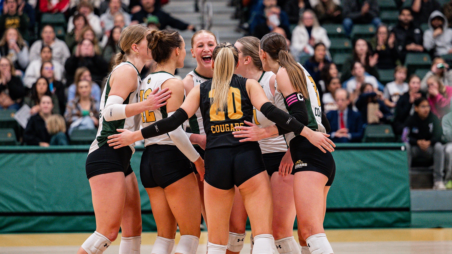WVB Team