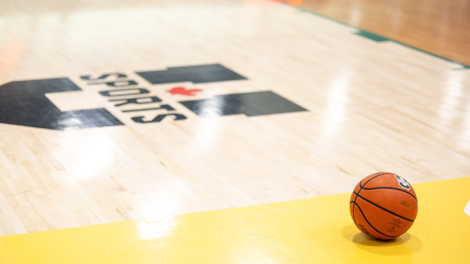 U SPORTS Basketball