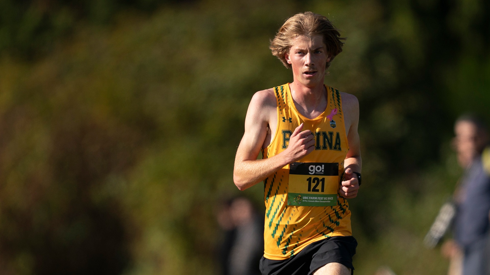 Ian Teichler