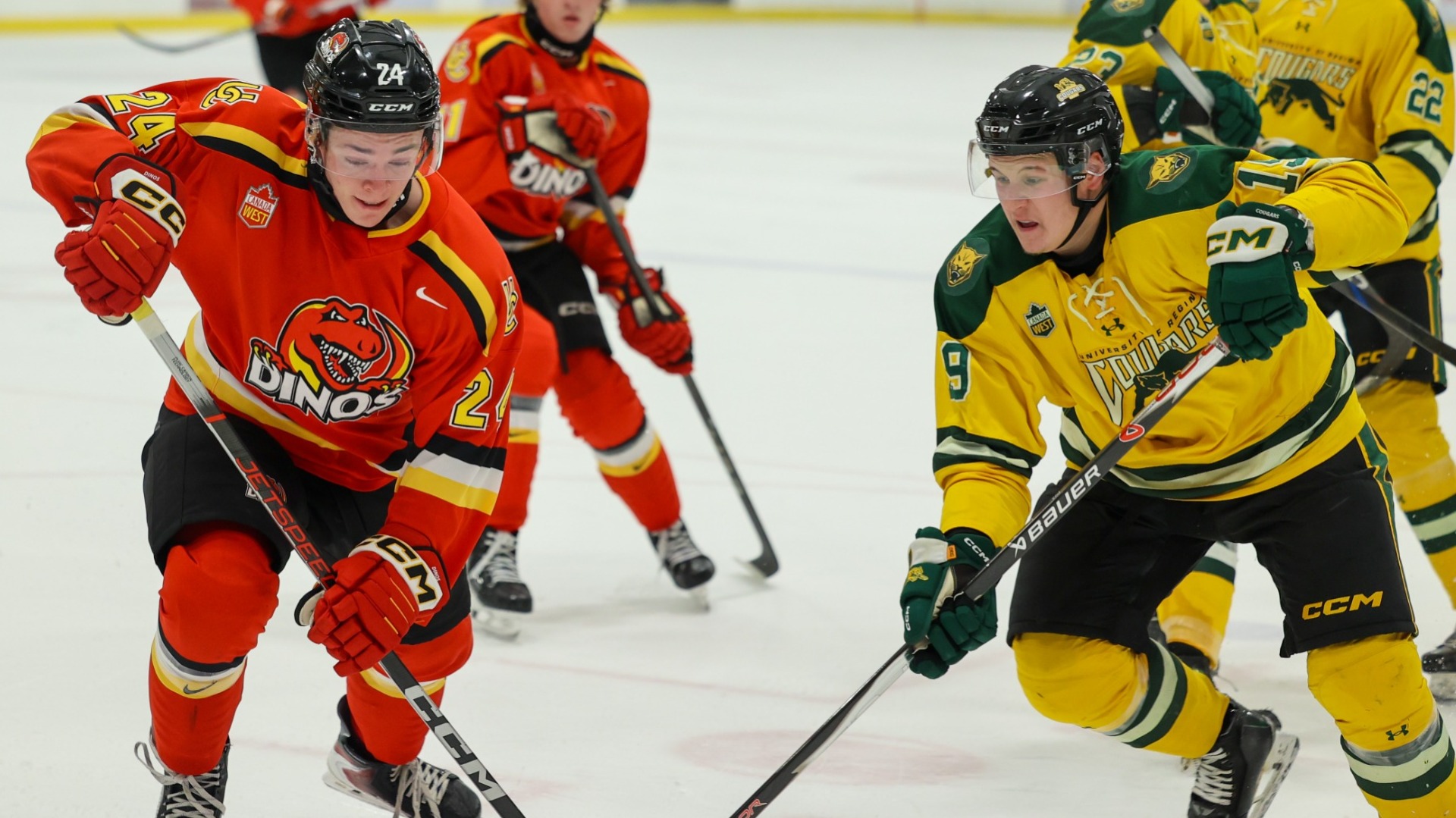 mens hockey players in calgary alberta