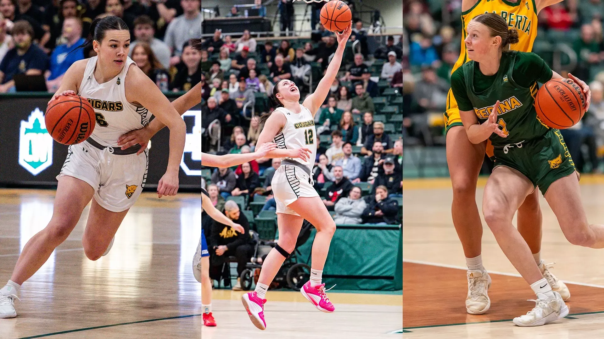 Cara Misskey / Jade Belmore / Lilly Vande Graaf