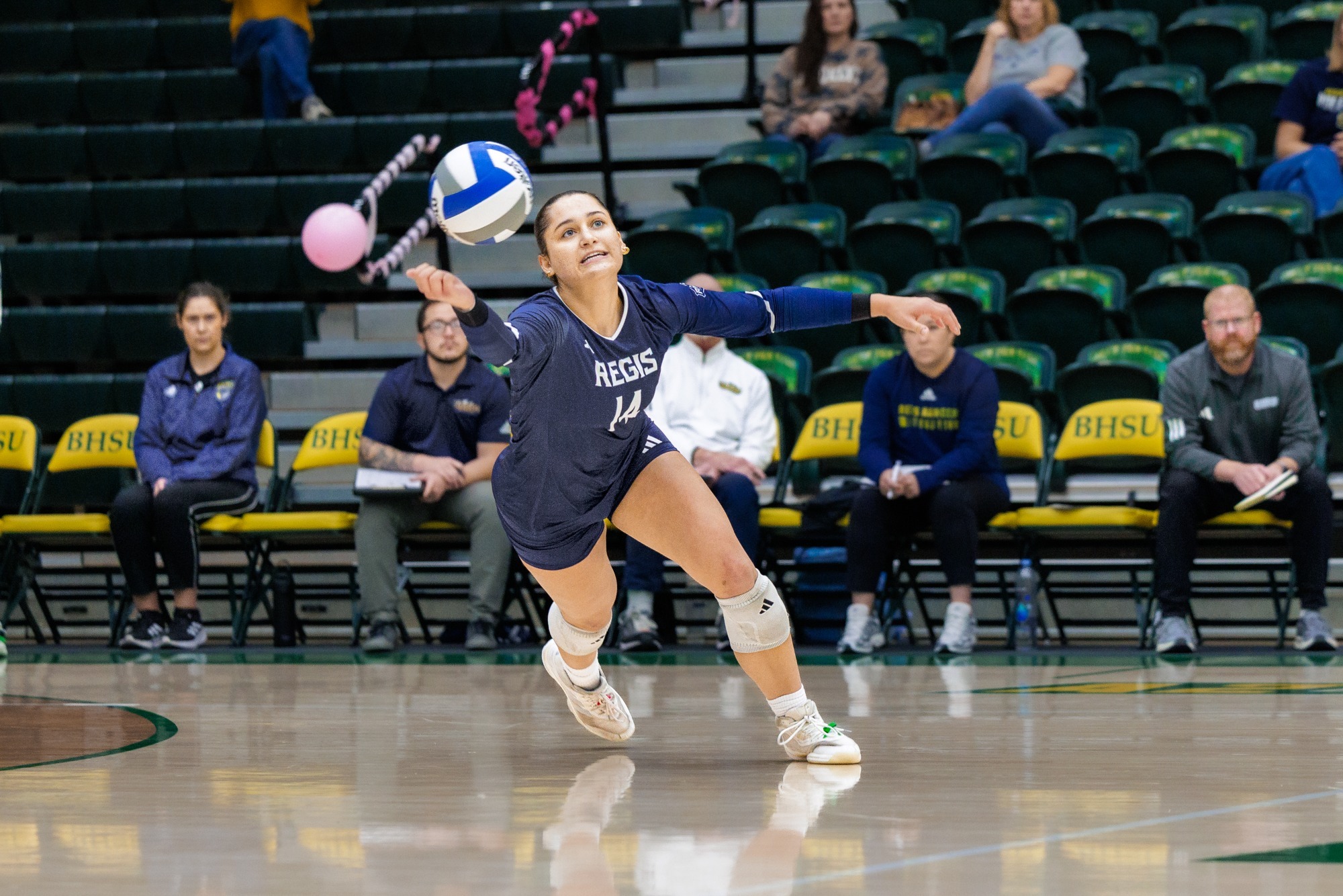 Knight Diving Dig 26 1