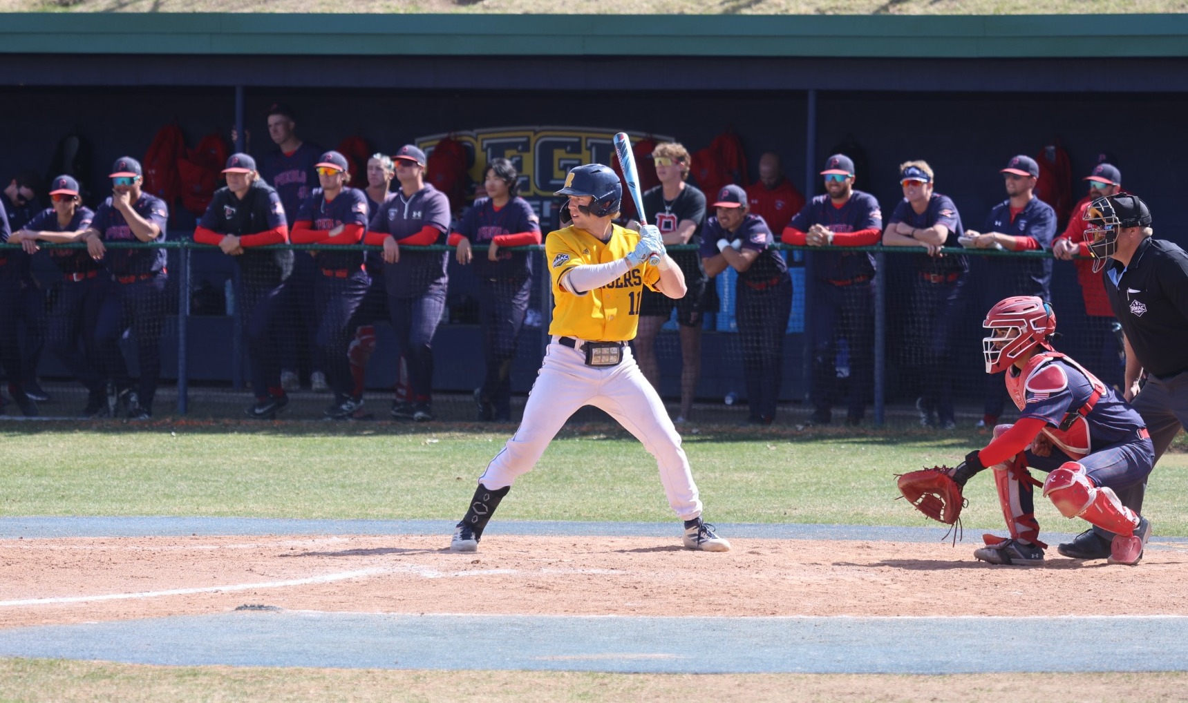 Linus Fleek Batting 26 1