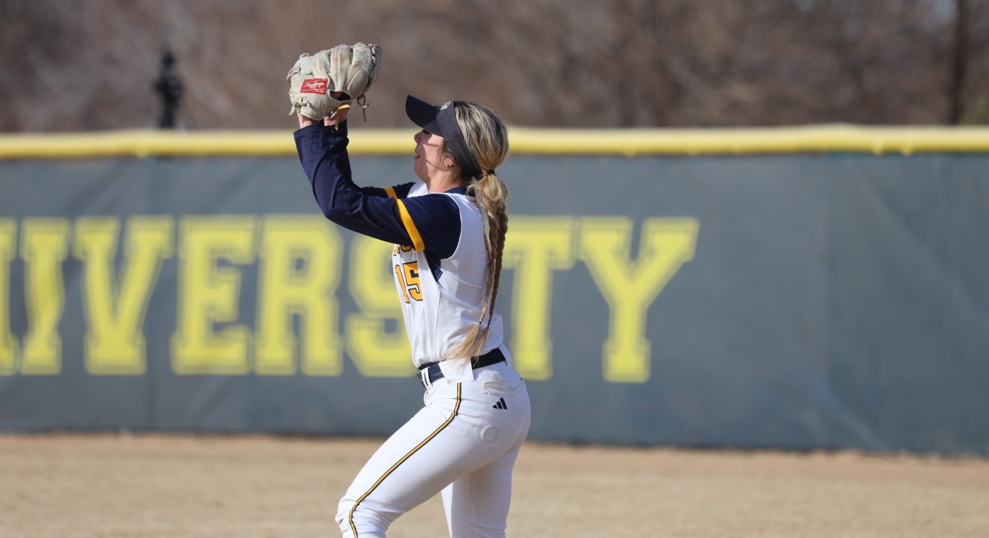 Langerak Fielding 26 1