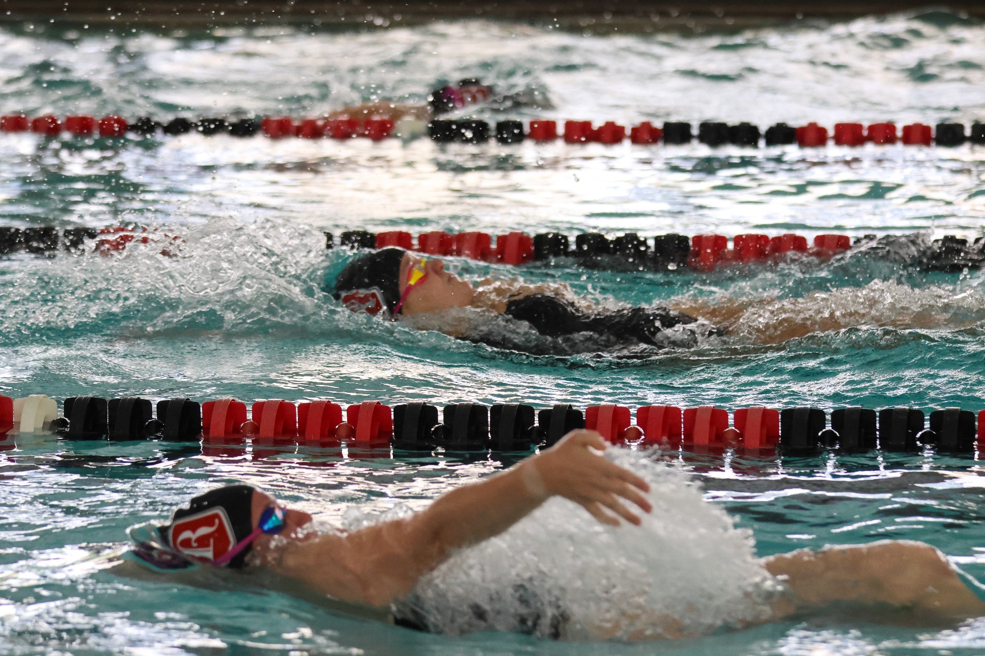 wswim