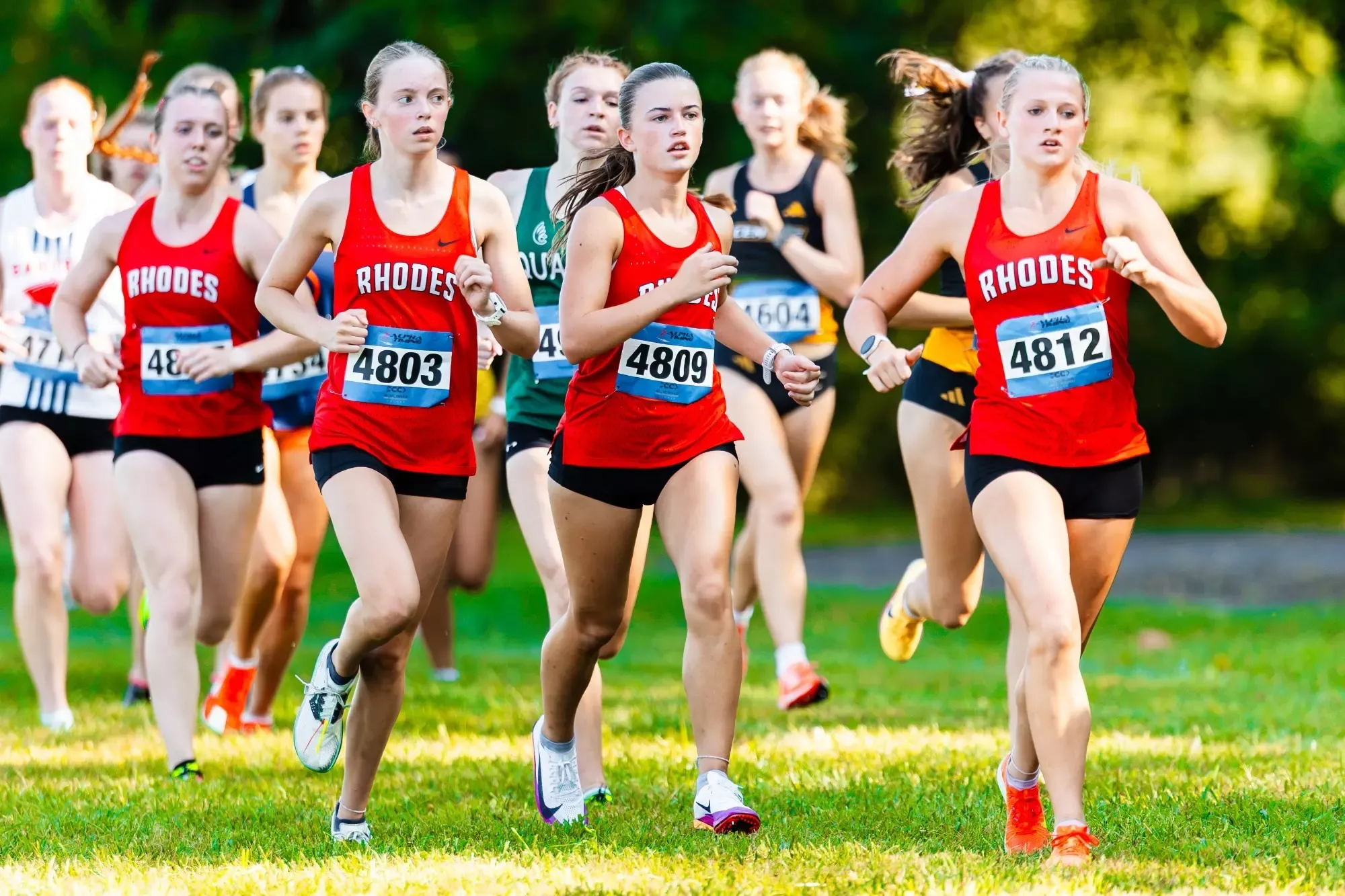 wxc