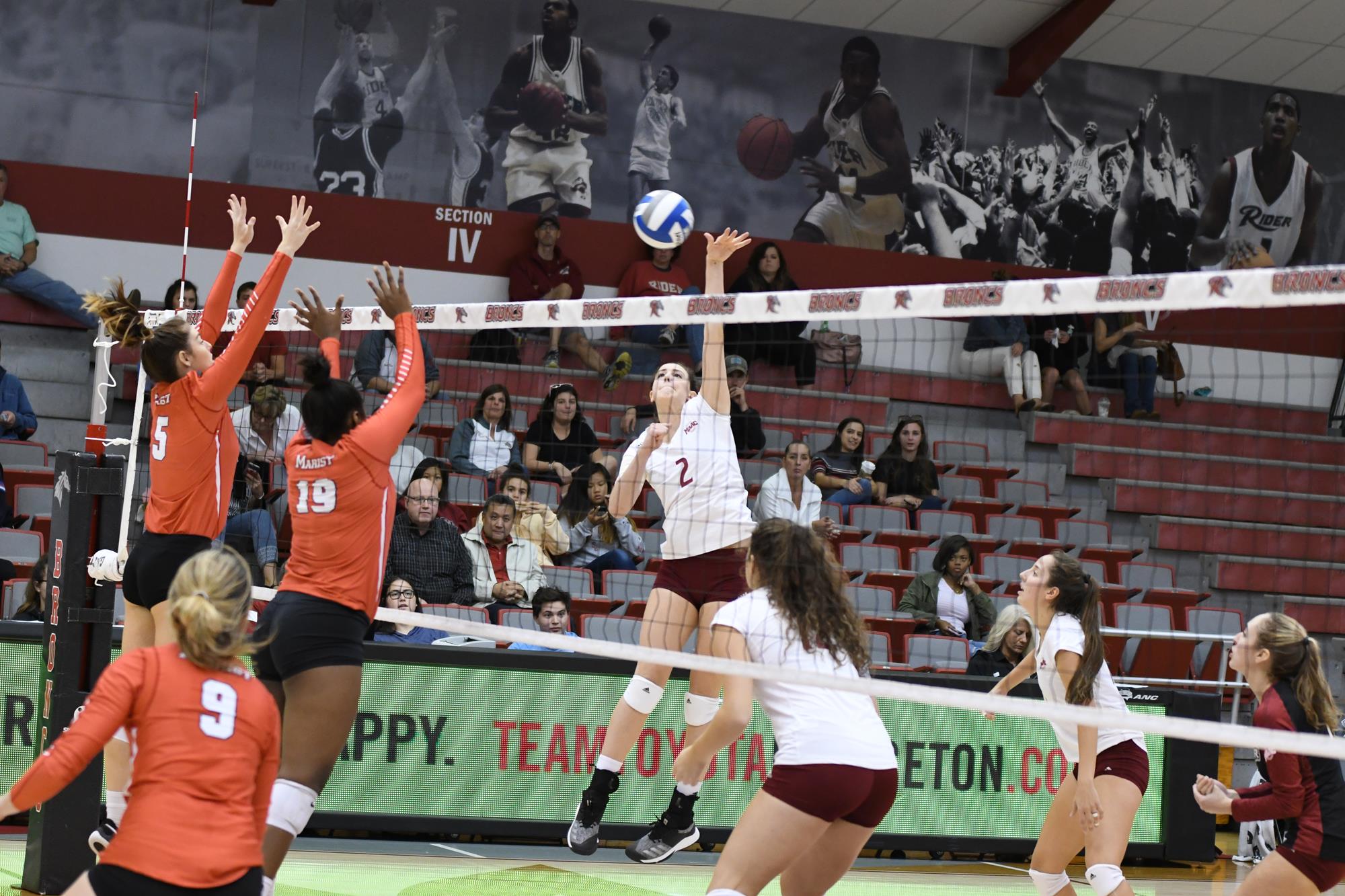 Hailey Riede Women's Volleyball Rider University Athletics