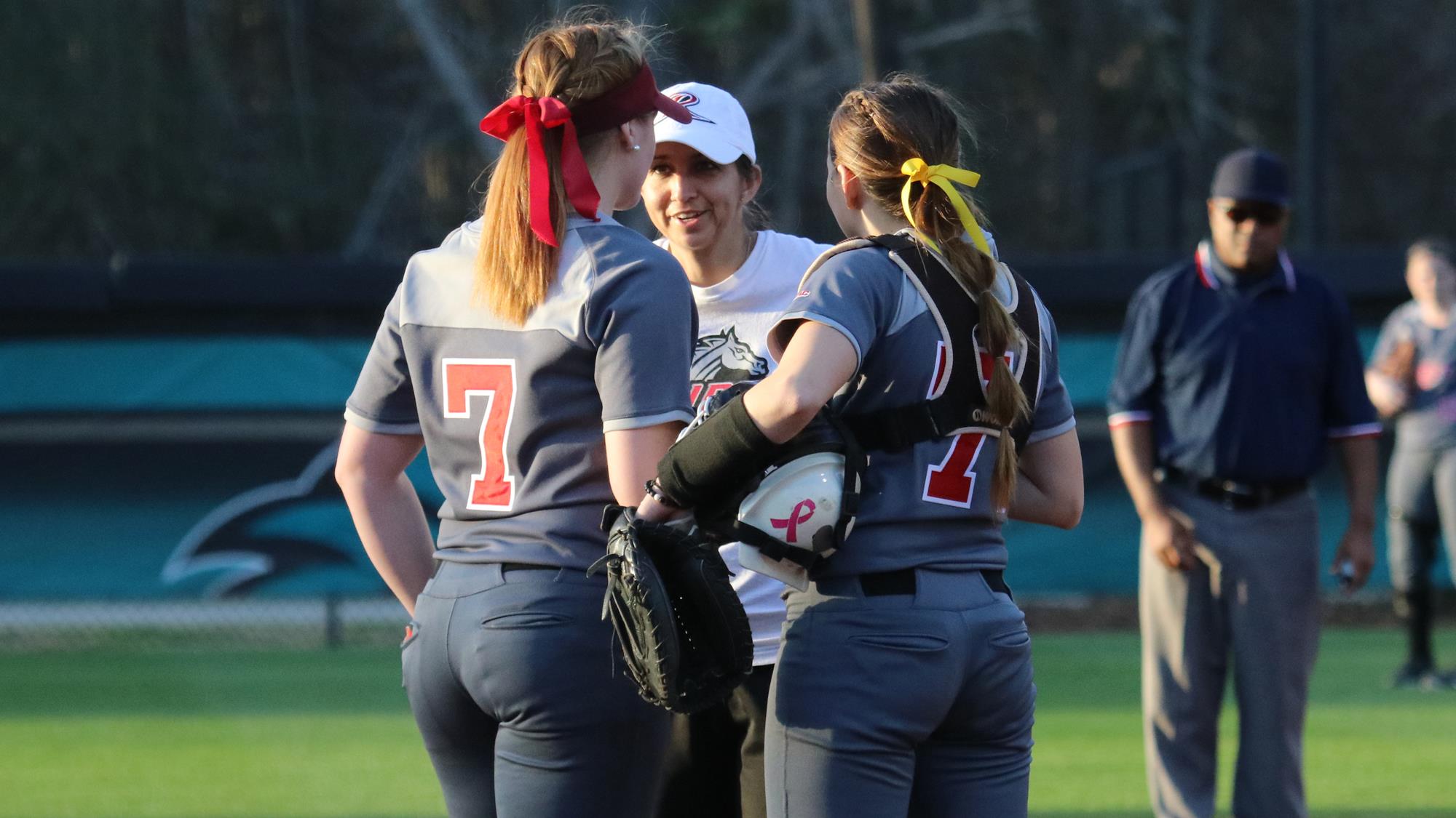 Softball Announces Nine Additions for 202122 Rider University Athletics