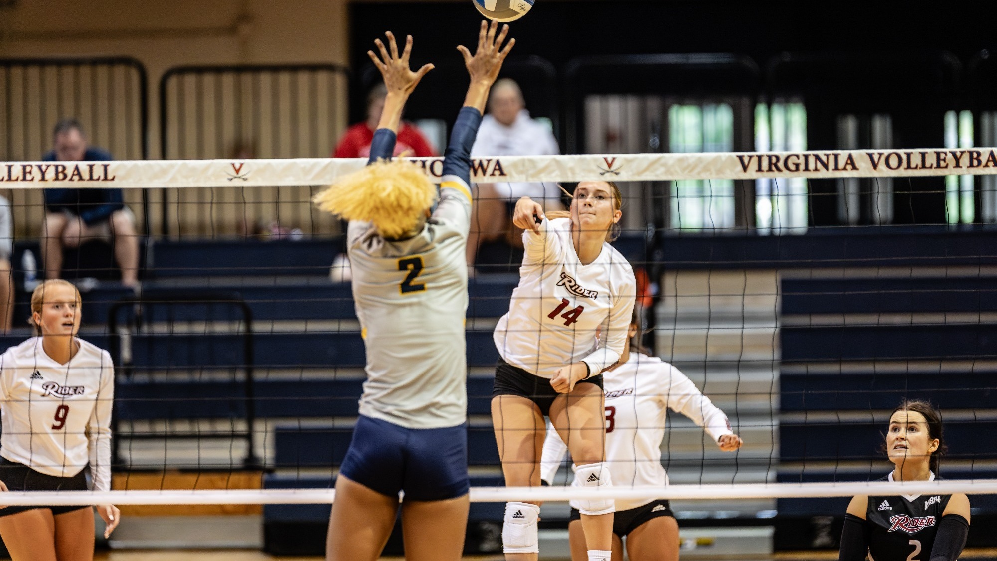 Paige Giehtbrock Women's Volleyball Rider University Athletics